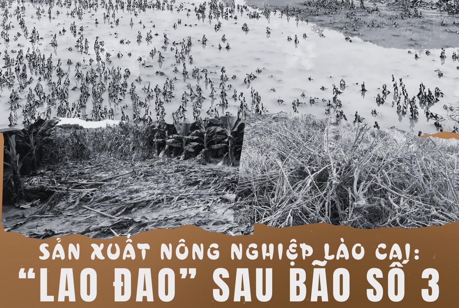 Sản xuất nông nghiệp Lào Cai: “Lao đao” sau bão số 3