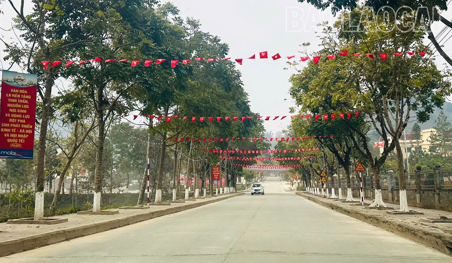 Sắc xuân đã về trên vùng cao Si Ma Cai với cờ hoa. smc.jpg