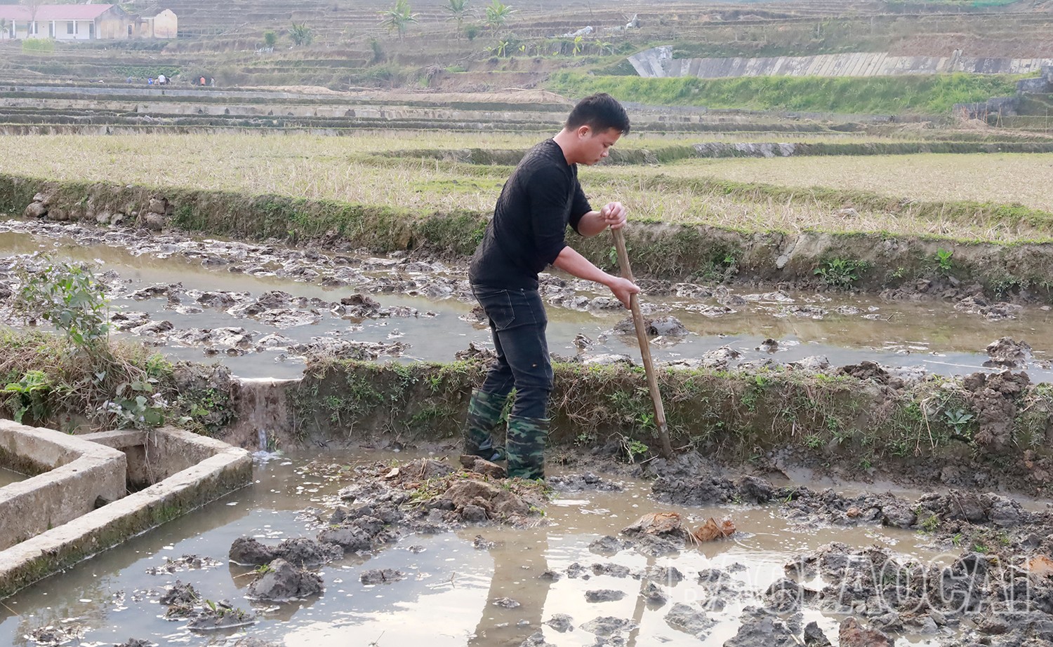 Anh Nông Văn Quân, thôn Bắc Công, xã Hợp Thành lấy nước vào ruộng để cấy vụ xuân. mg-6389.jpg
