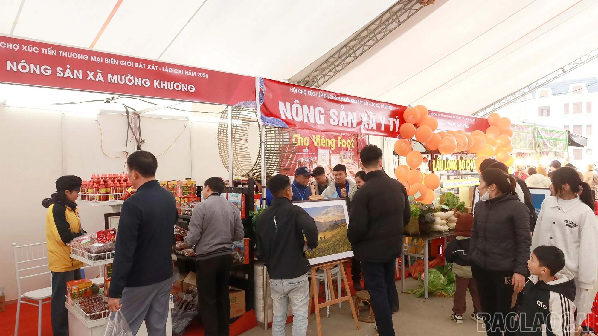 baolaocai-br_mg-9209.jpg