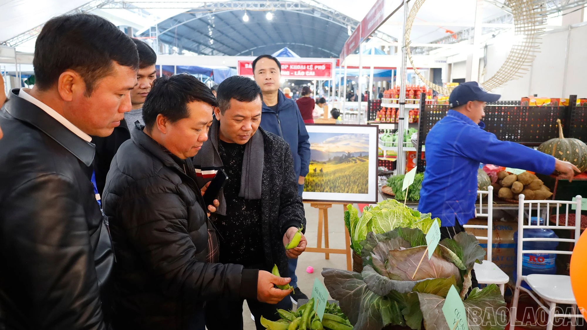 baolaocai-br_mg-8927.jpg