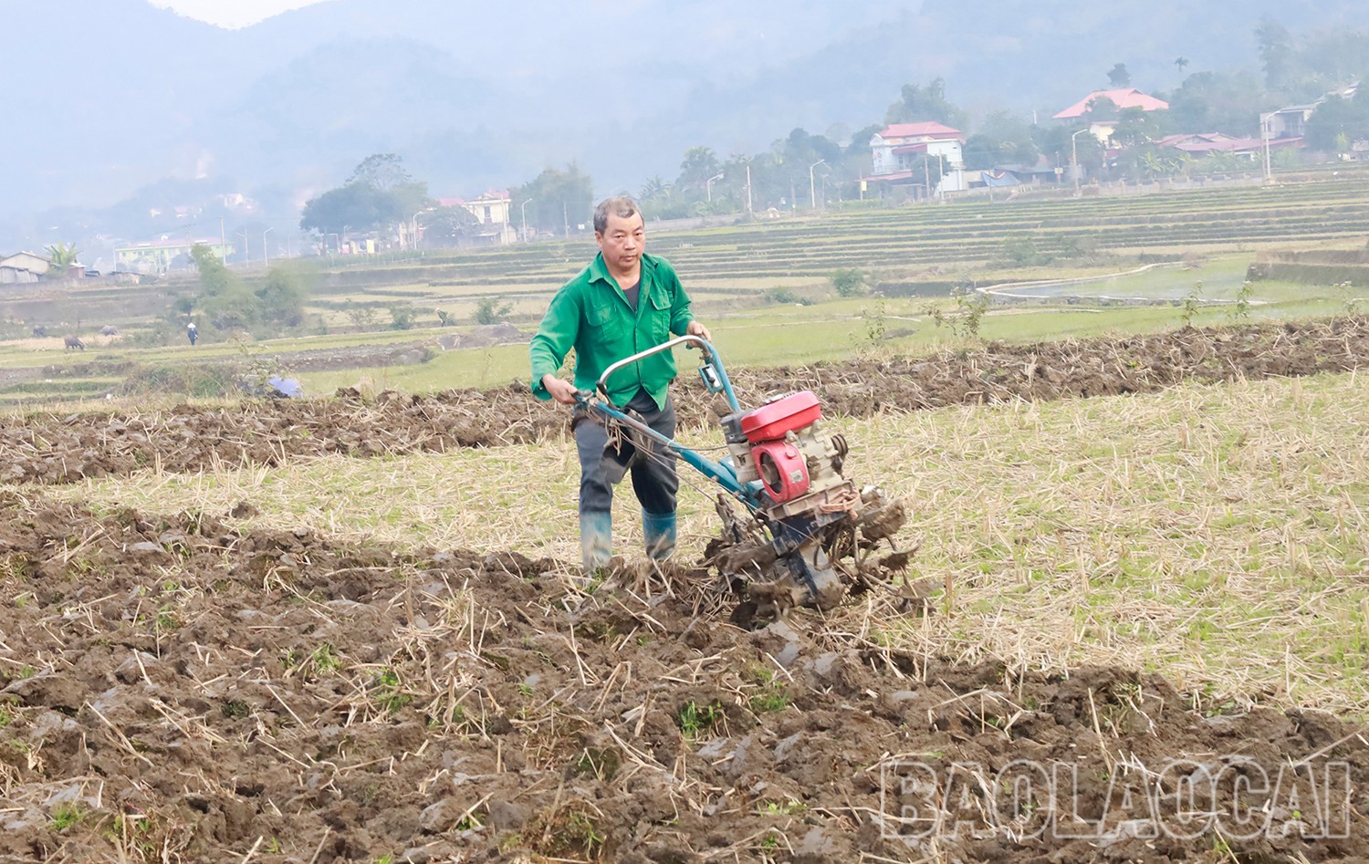 Nông dân nhiều địa phương sử dụng máy móc cỡ nhỏ để làm đất sản xuất lúa xuân. mg-6378.jpg