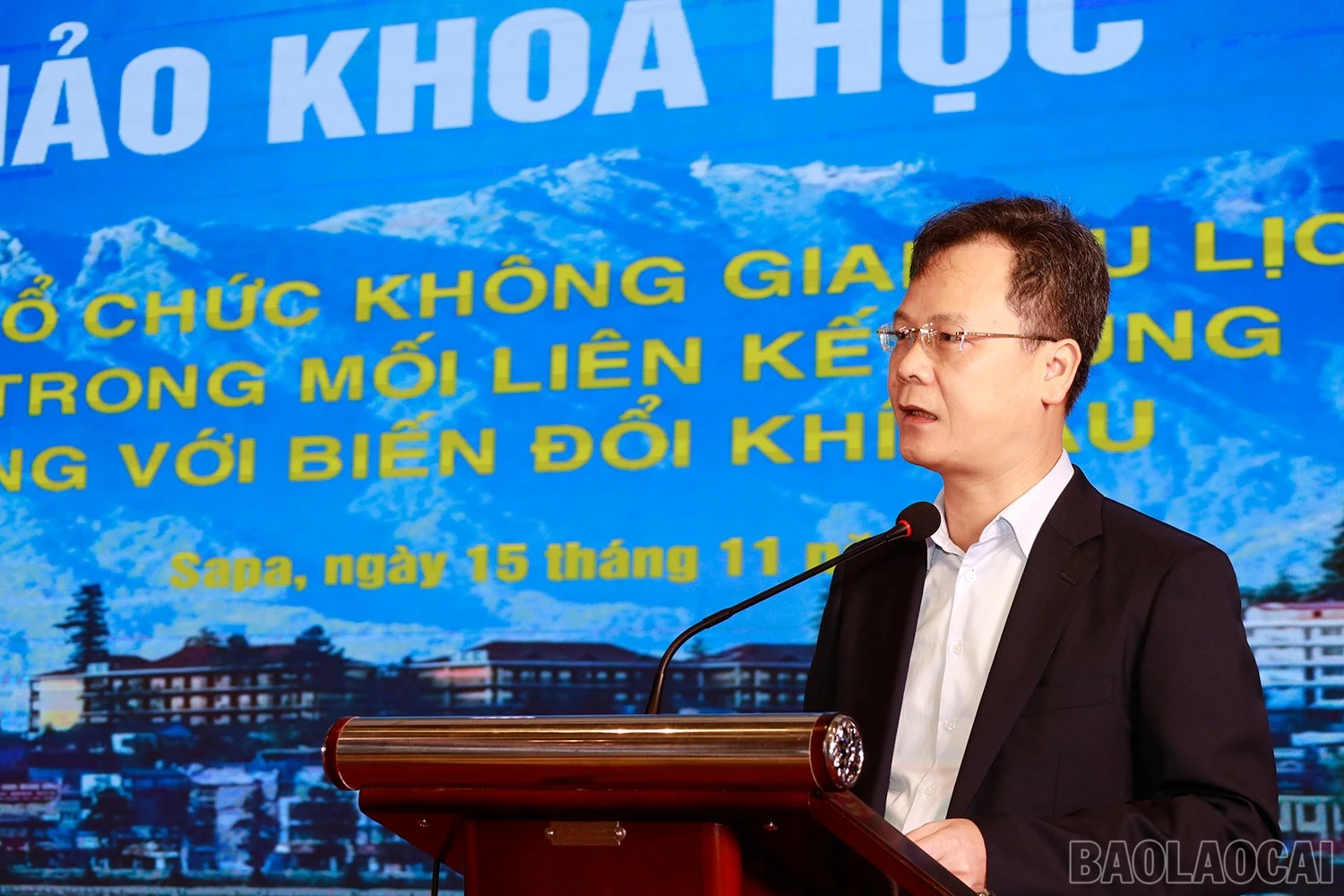 baolaocai-br_mg-9324.jpg