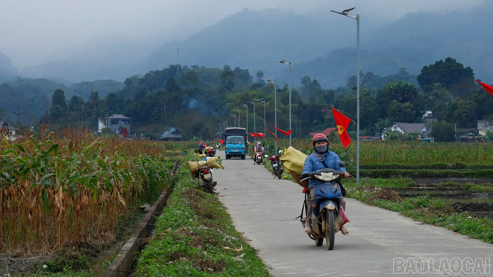 baolaocai-br_mg-8799.jpg