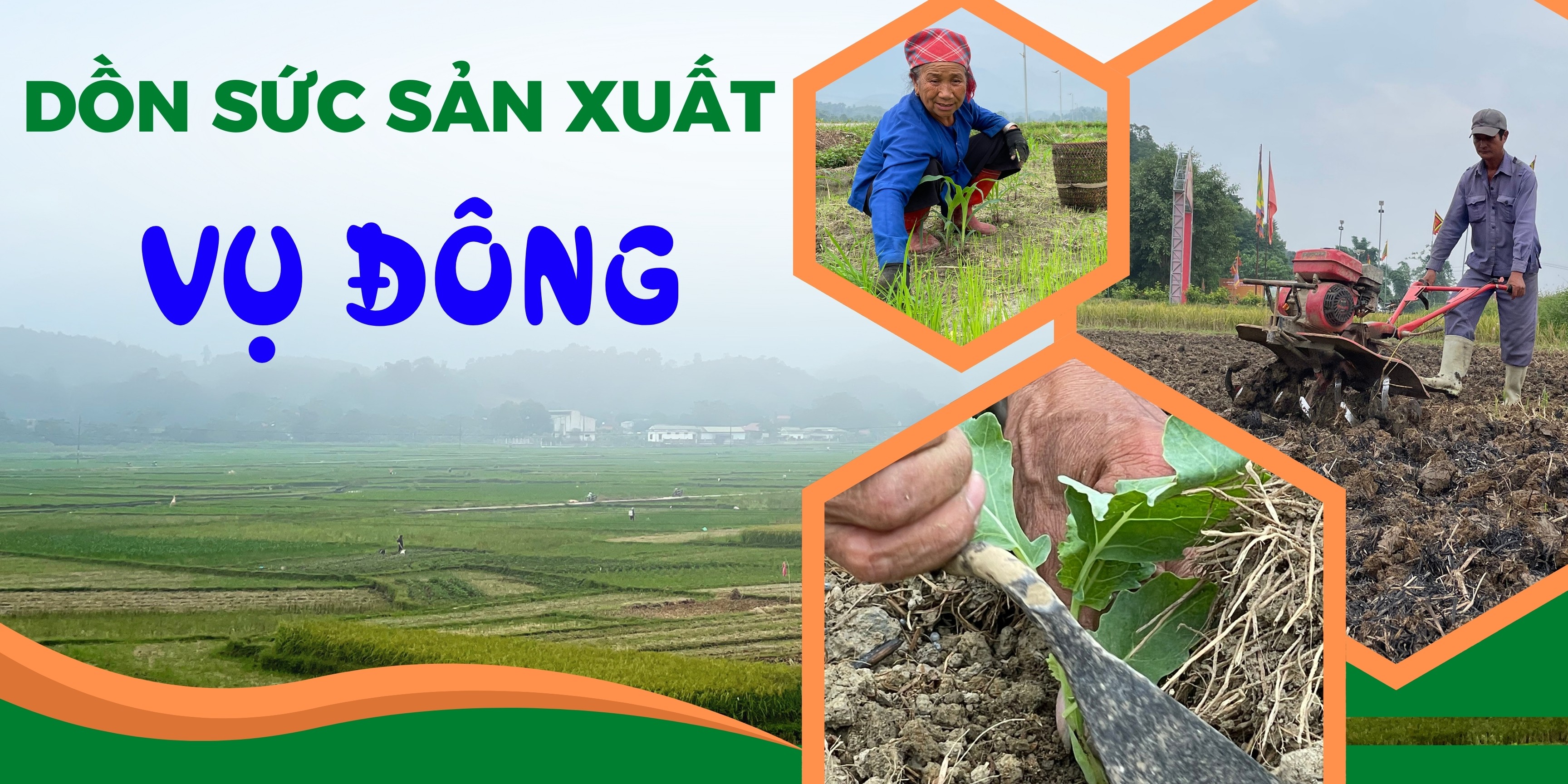 Dồn sức sản xuất vụ đông