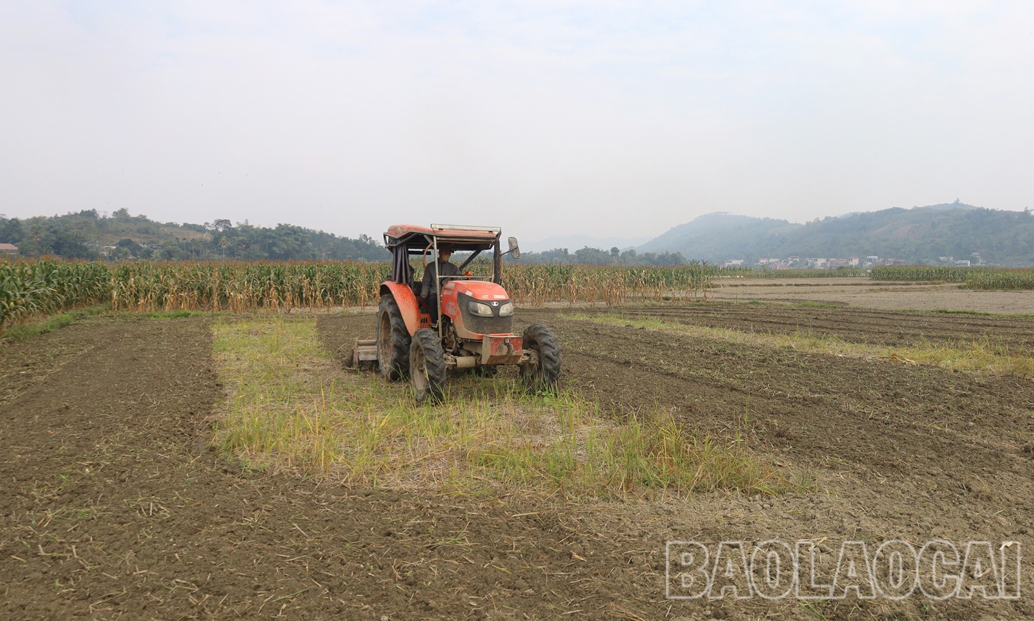 Nông dân huyện Văn Bàn sử dụng thiết bị cơ giới để làm đất sản xuất lúa xuân. img-6307.jpg