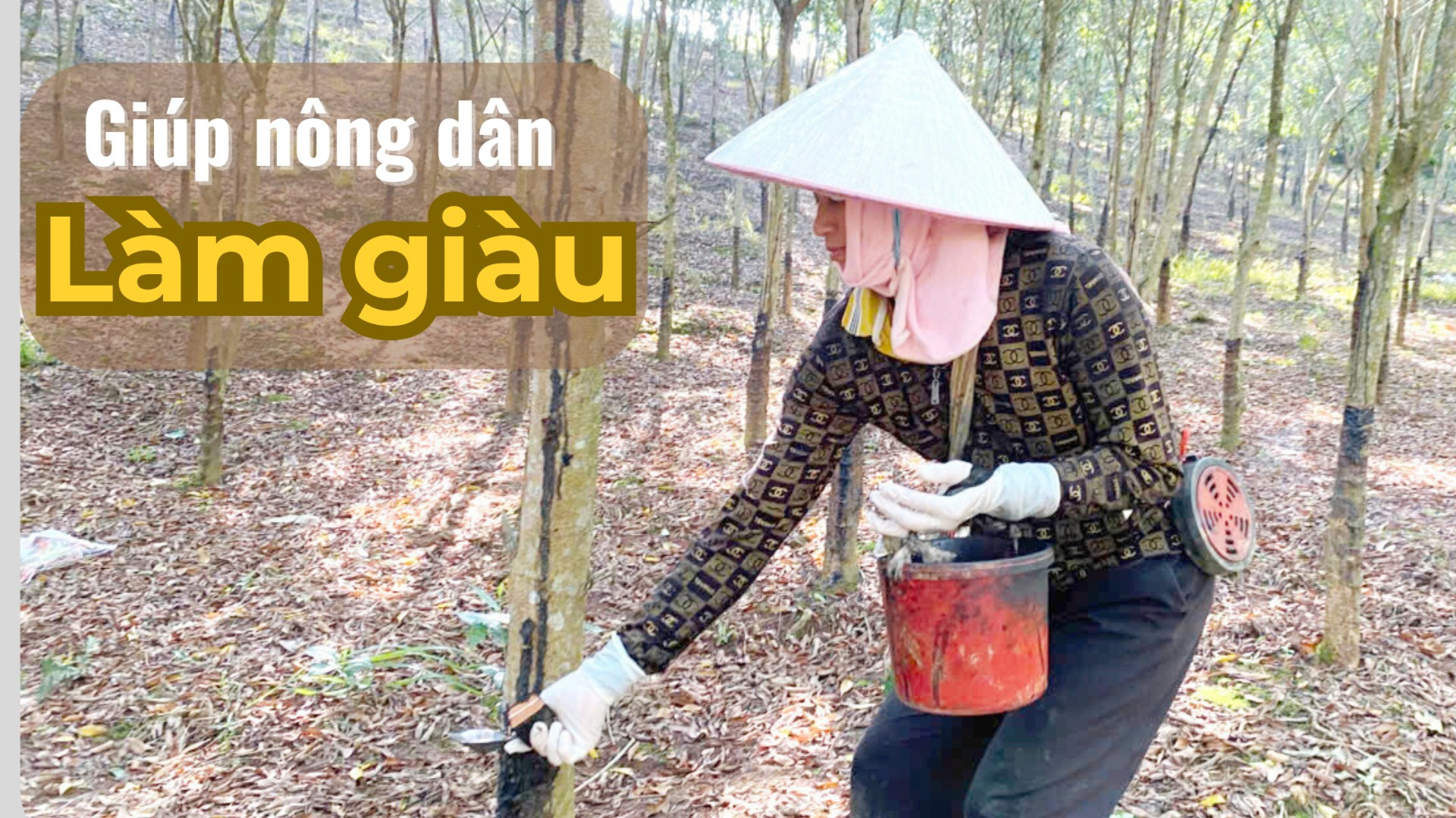 Giúp nông dân làm giàu 