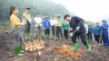 Việt Hồng hướng tới mục tiêu tăng trưởng kinh tế gắn với giảm nghèo bền vững