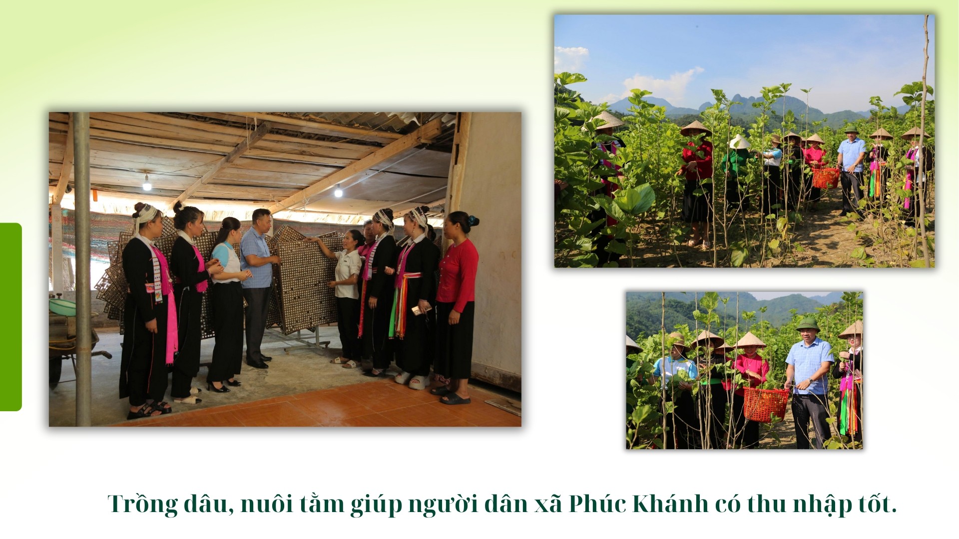 green-modern-hydroponic-farming-innovations-presentation-6.jpg