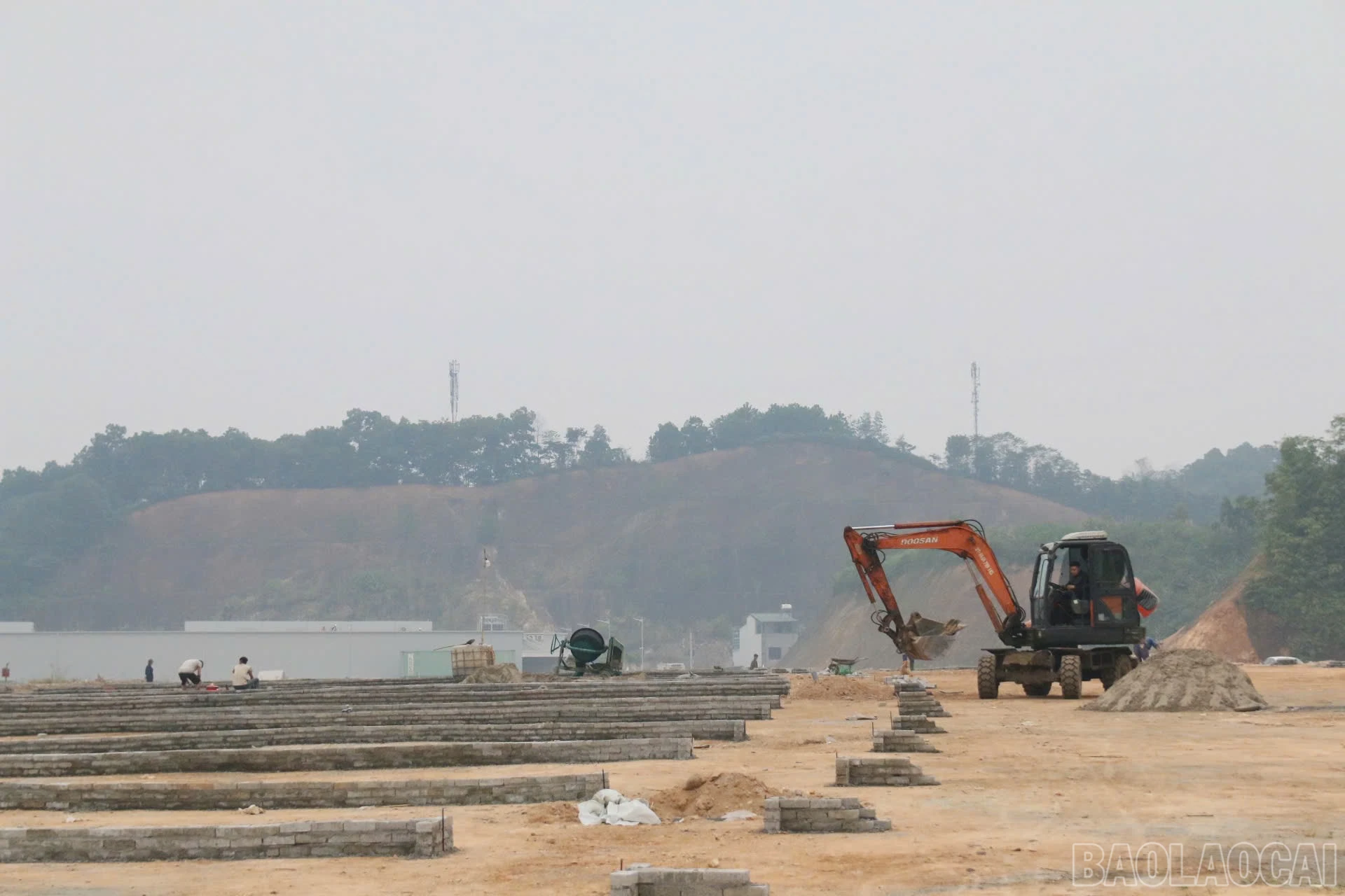 baolaocai-br_z7294975937778-f912da24d691f3993959e425eba0b18c.jpg