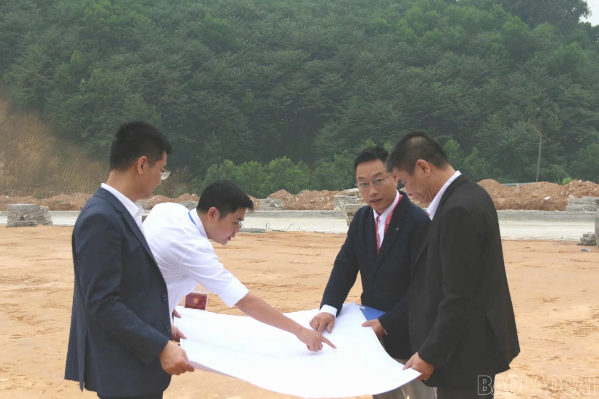 baolaocai-br_z7294975960939-ce3283a6a279ad1dac8405d693a03c9b-9699.jpg
