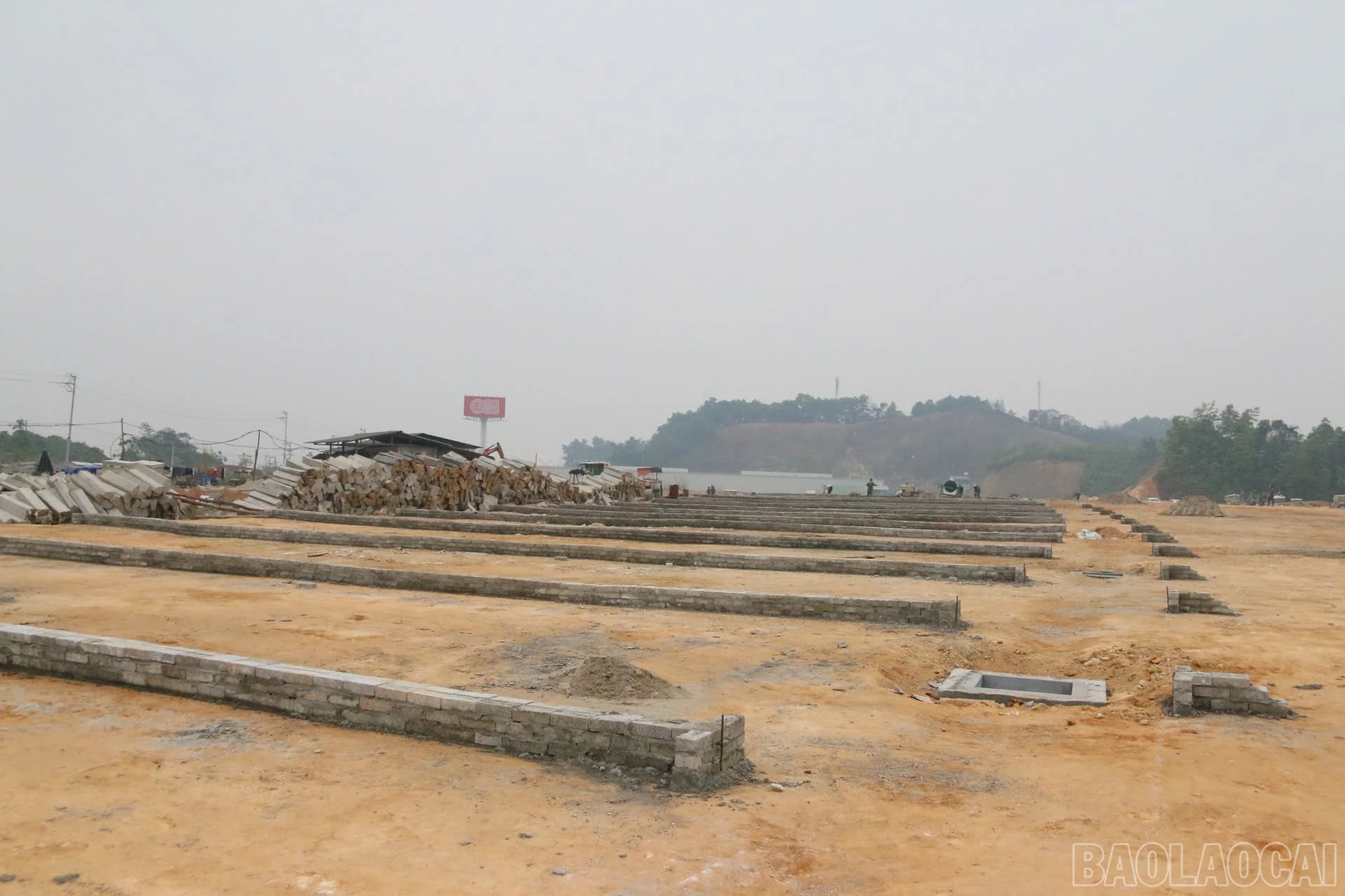 baolaocai-br_z7294975947879-3c7cd96591a3512e767e688ae73080d3.jpg