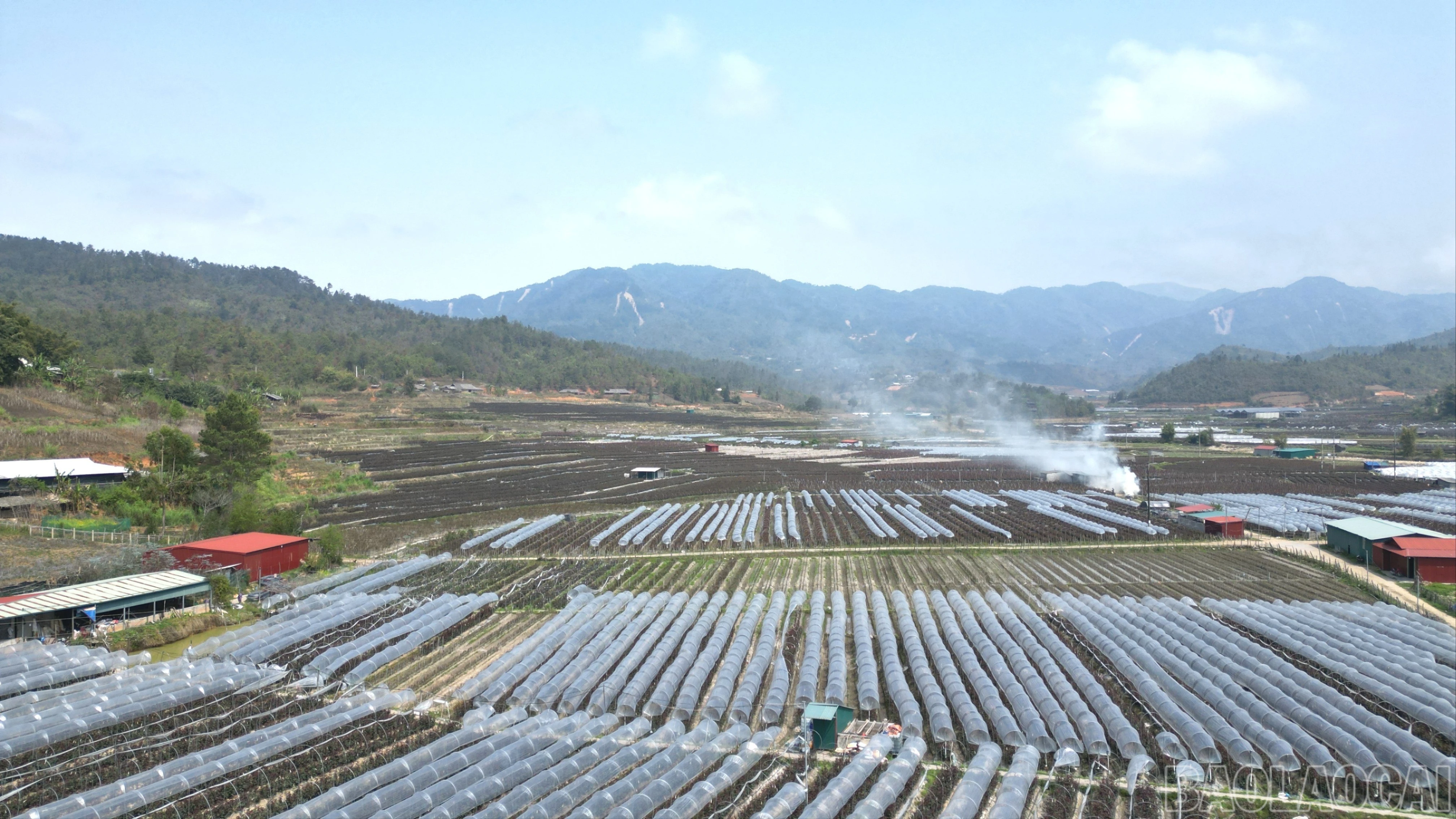baolaocai-br_dji-0087-7541.jpg