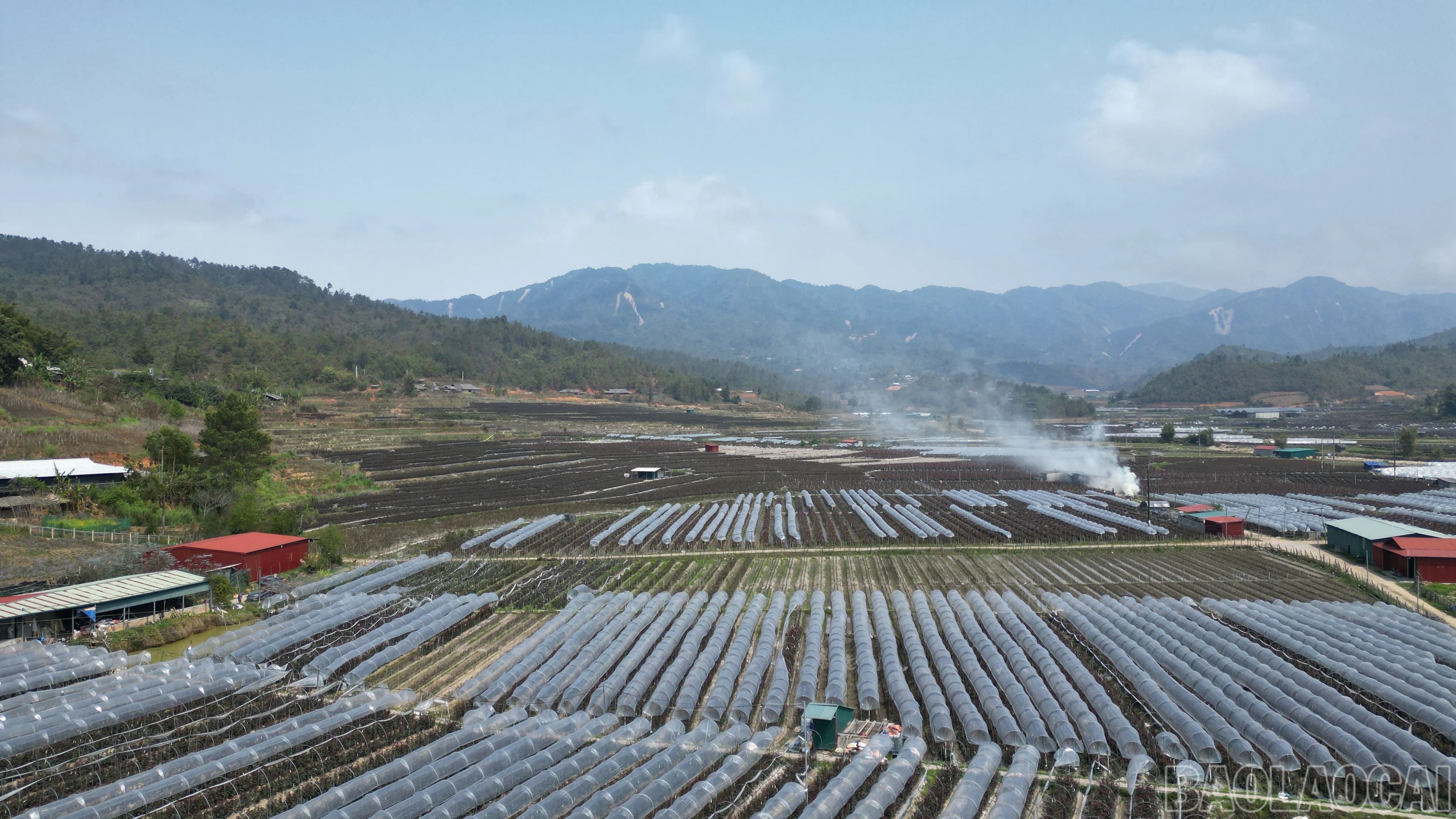 baolaocai-br_dji-0087.jpg