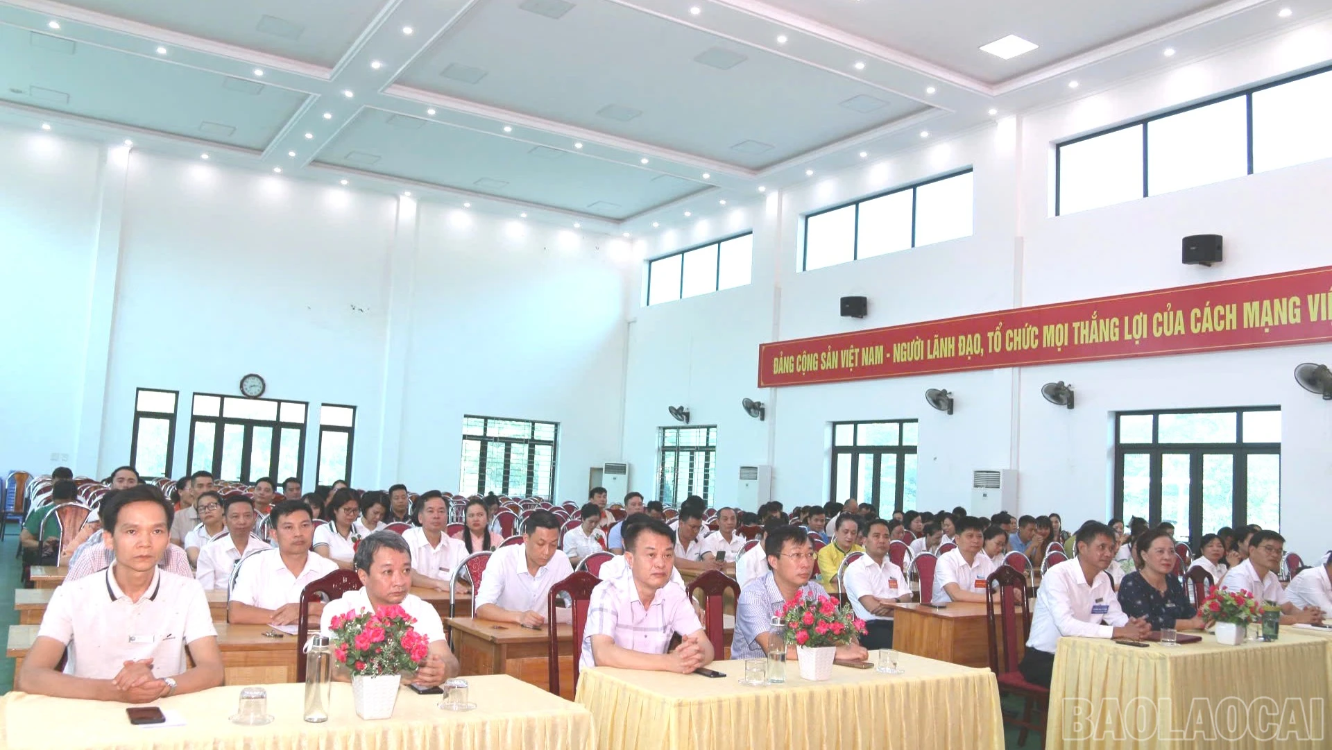 baolaocai-br_z7870852462270-9dcc2e77a82dc3991f5104442706f33c-7521.jpg