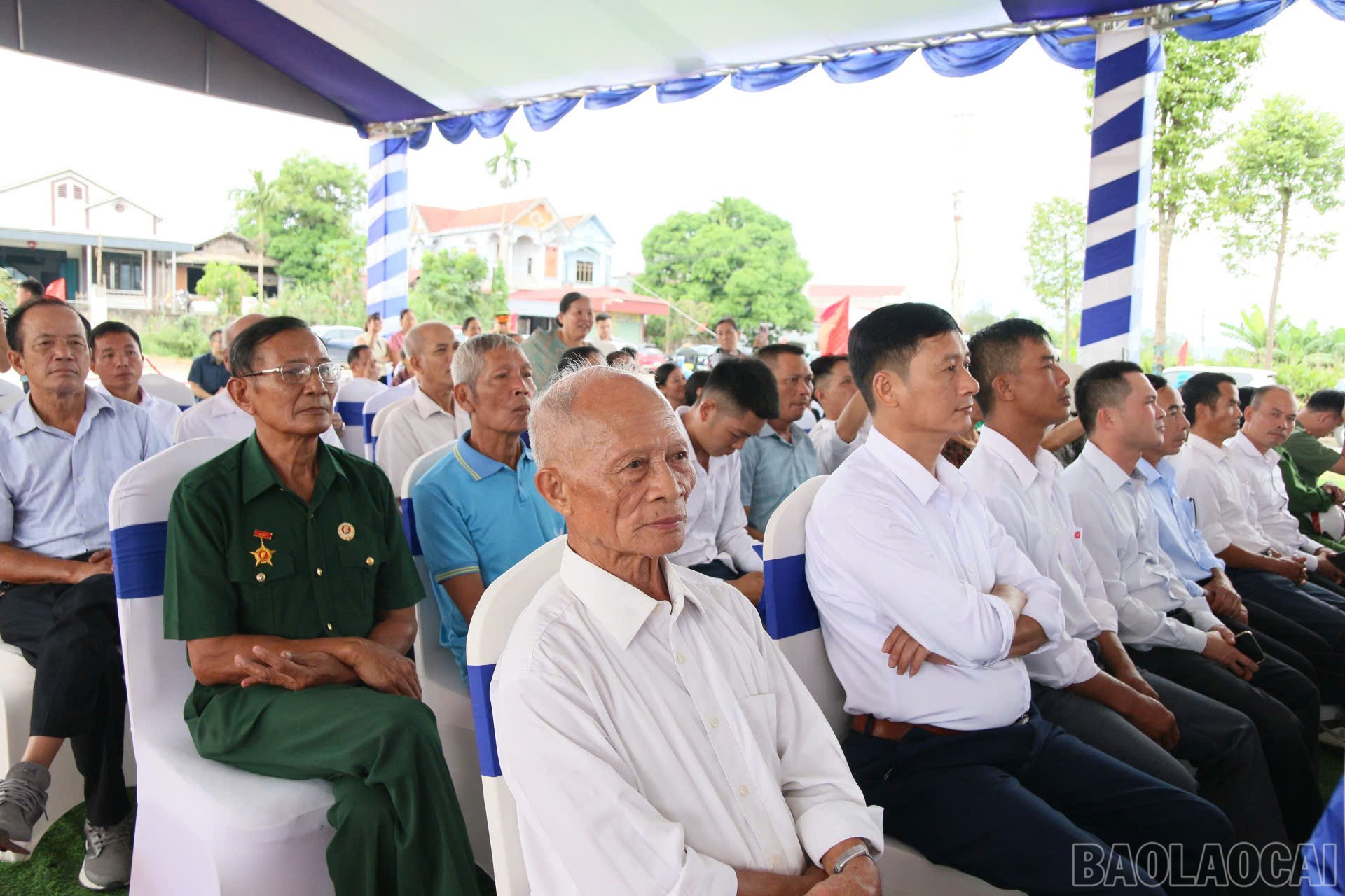 baolaocai-br_z7055215228901-4290317af69d40a30a7239c39998b2b7.jpg
