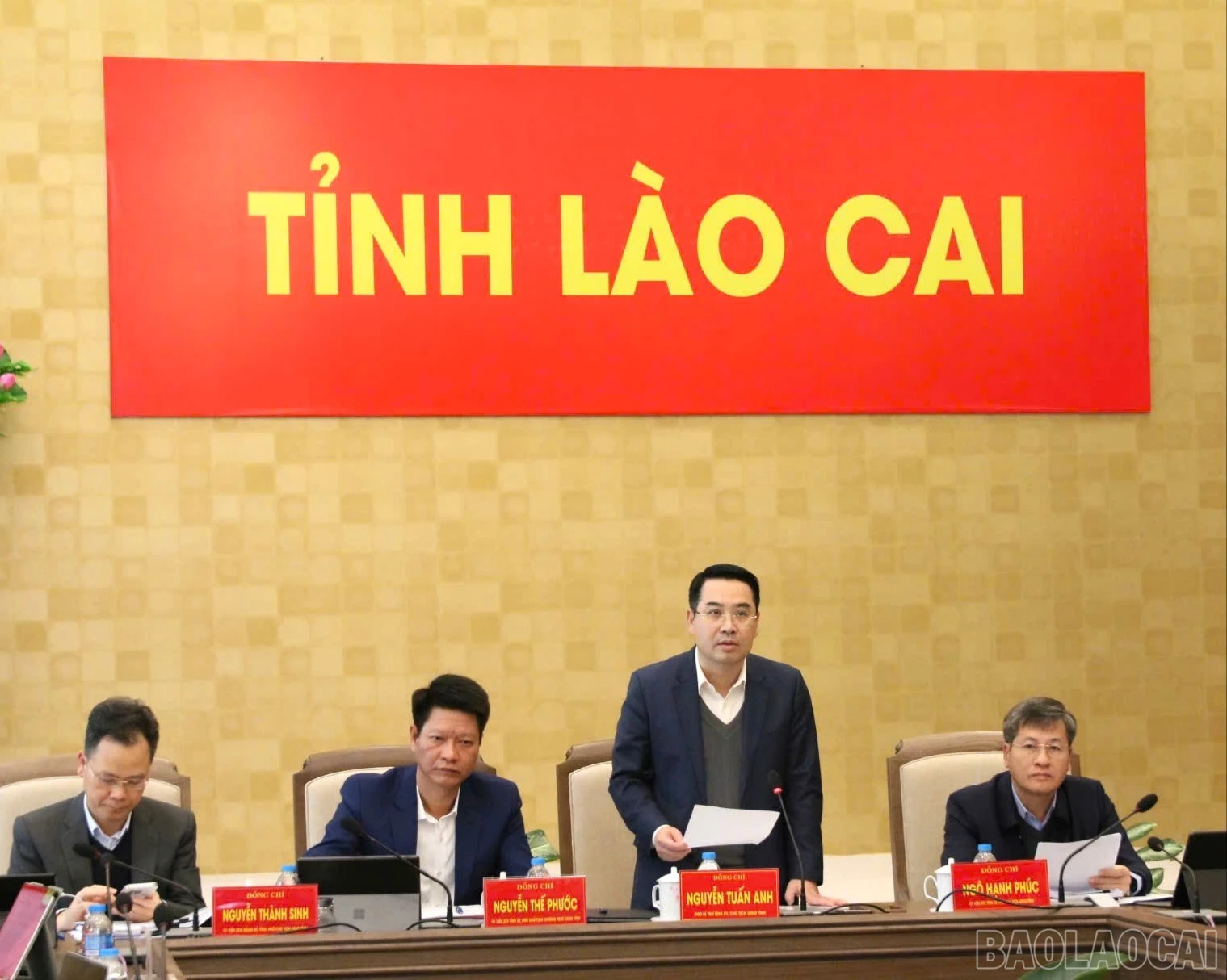 baolaocai-br_z7473457210299-8b0d73776cad38f7c0f4d2453ec4da56-7978.jpg