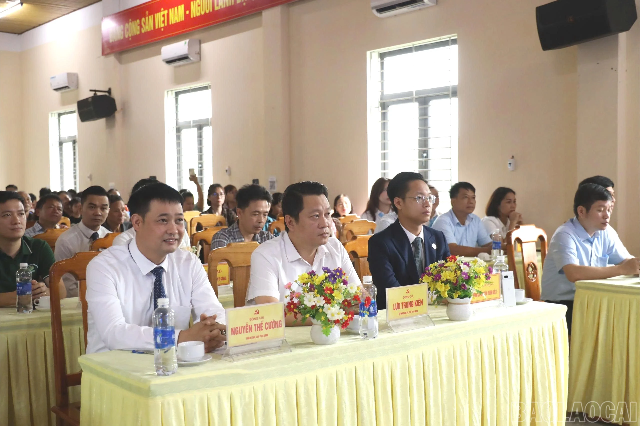 baolaocai-br_z8055682121450-4622e184c02f1e2b59b58253f8c88865-7751.jpg