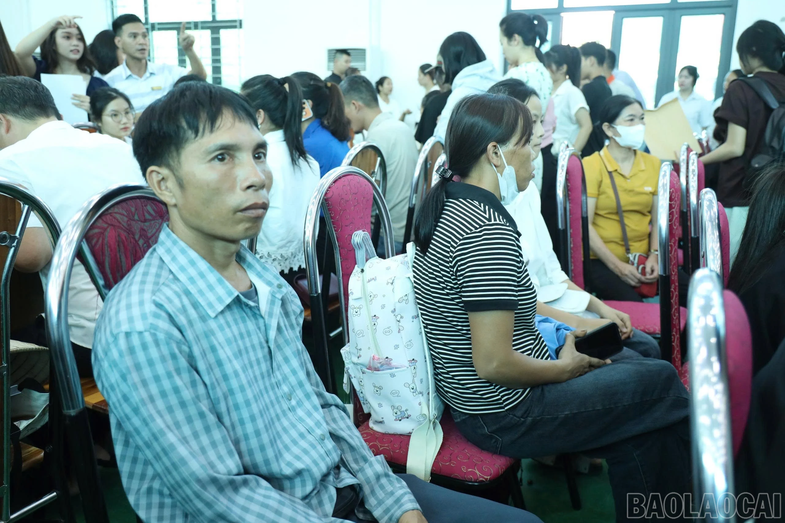 baolaocai-br_1786423853829-2298986728844721336-8811787153129682710-7f779012190fbc77b5f2f24385534999.jpg
