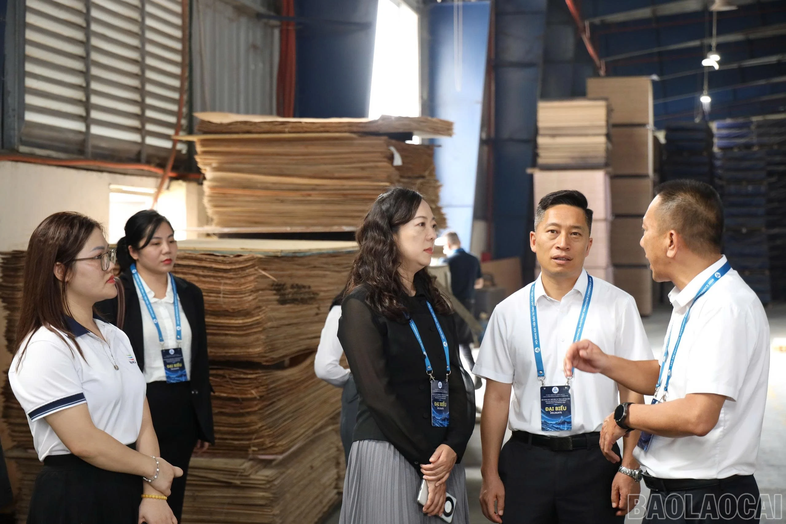 baolaocai-br_z8049399608078-aae32729a00bd53b45b7403cfafb7971.jpg