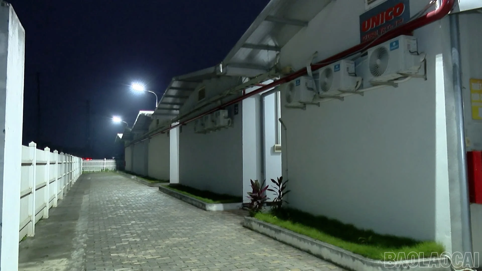 baolaocai-br_z8030658997761-c28e01ad5c9bc07adc8666032b5fc975.jpg