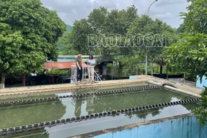 Nỗ lực để sớm cấp nước sinh hoạt trở lại