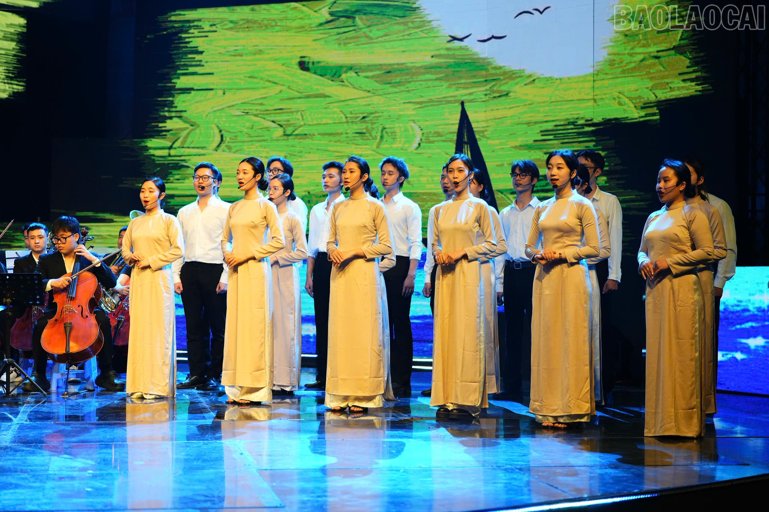 baolaocai-tr_z6573015049837-0eb5d0564f96f687521b5d659e969581.jpg