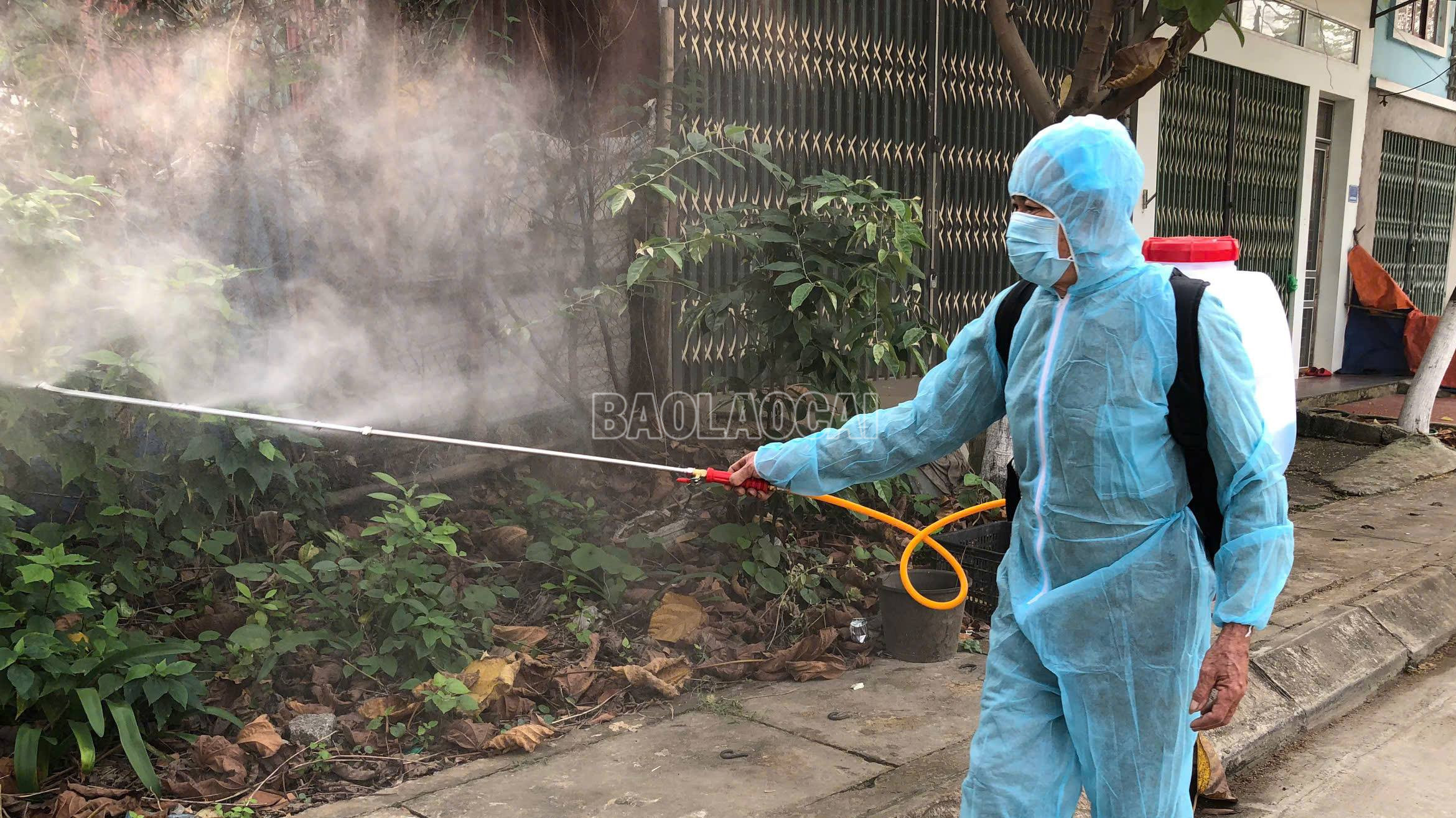 Phun khử trùng, tiêu độc tại khu vực có lợn nhiễm bệnh. baolaocai-c_6.jpg