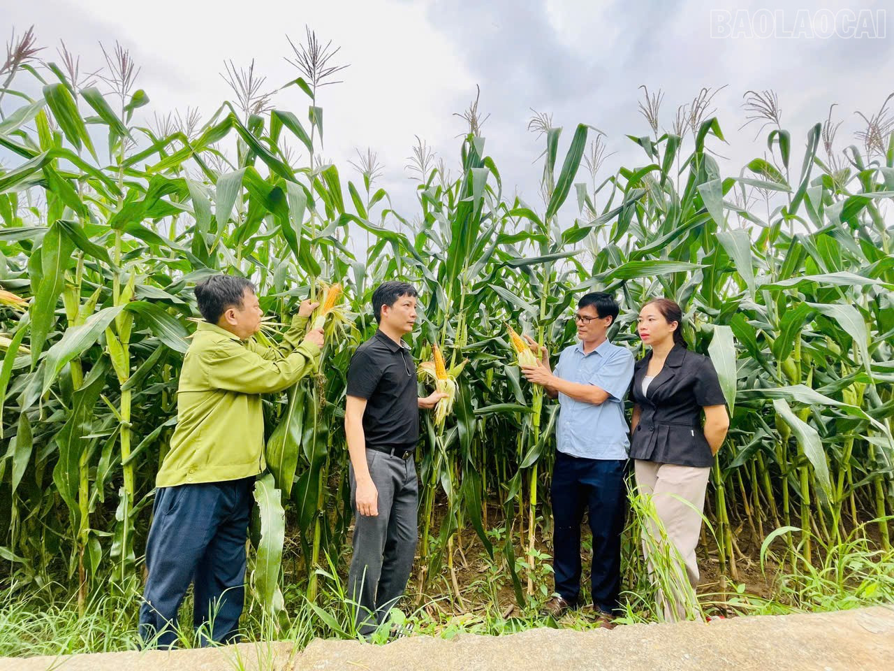 Các đơn vị có liên quan kiểm tra thực tế, ghi nhận tình hình tại xã Kim Sơn. baolaocai-tr_z6648818948321-8a909bd86d802e9ca6af328f99eaa2fe.jpg