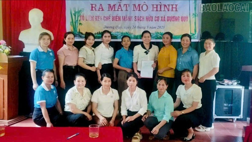 Ra mắt mô hình tổ liên kết chế biến măng sạch hữu cơ tại xã Dương Quỳ. baolaocai-tr_ra-mat-mo-hinh-3381.jpg