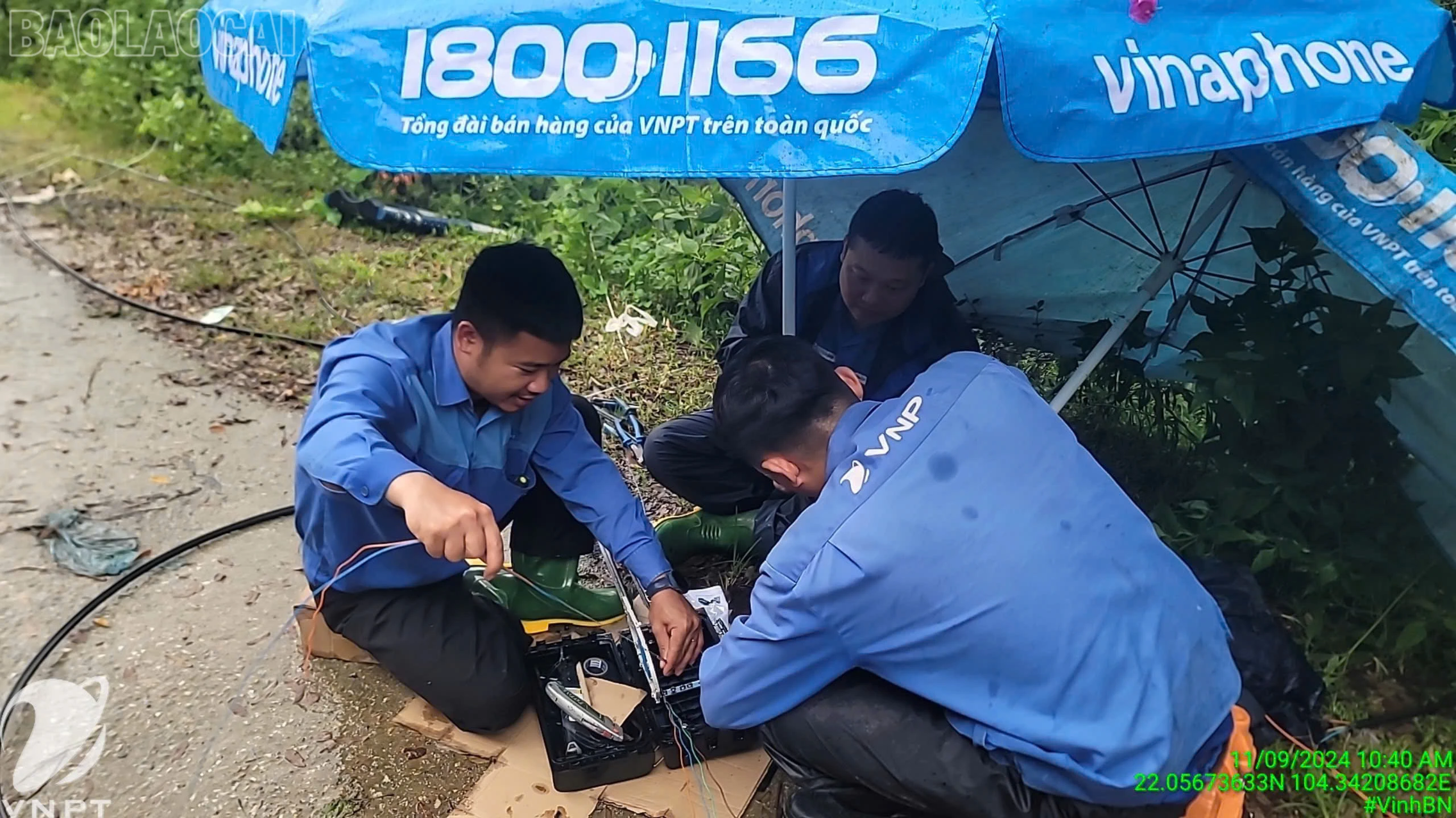 Sua Chua Ha Tang.jpg