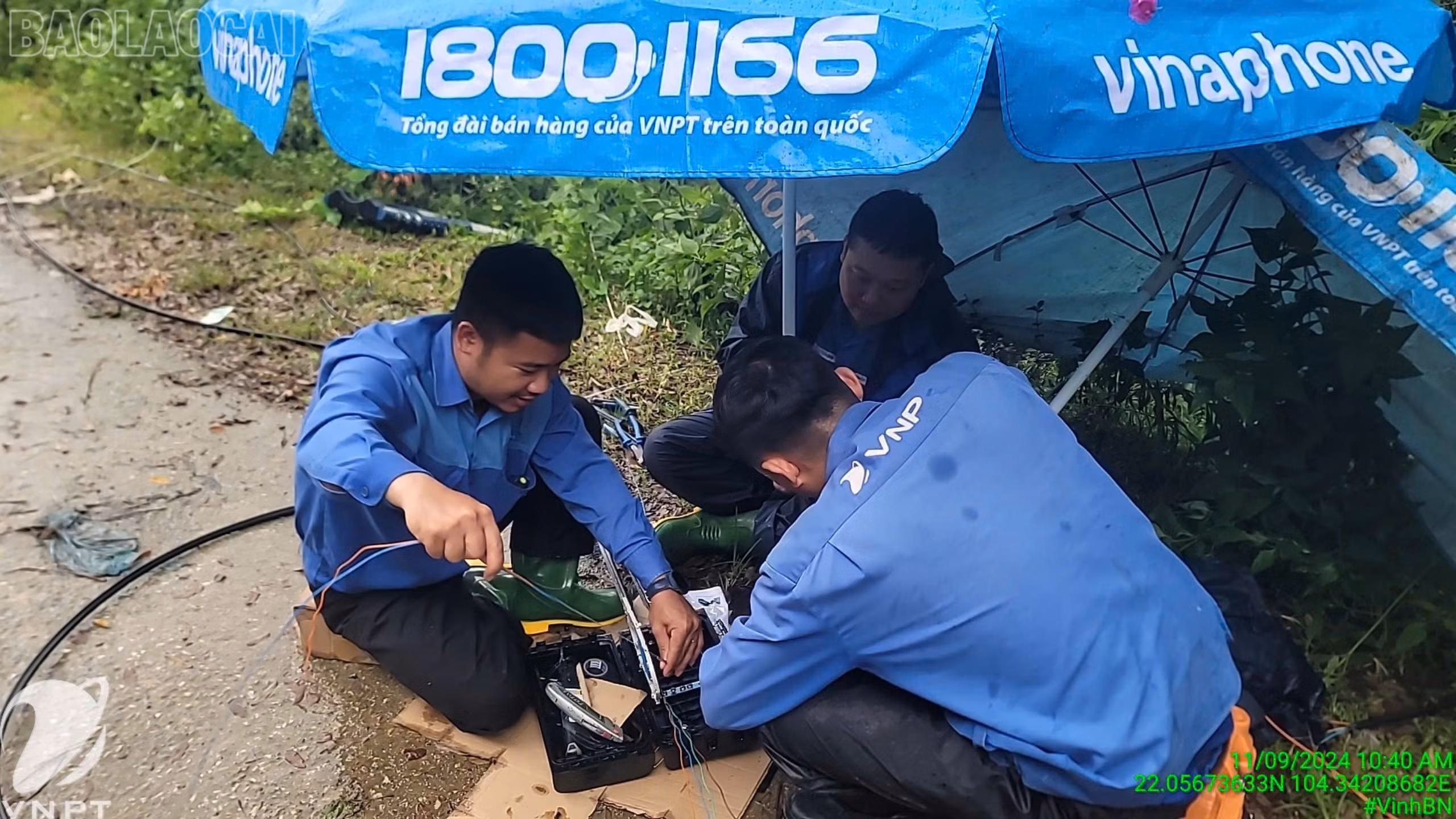 Sua Chua Ha Tang.jpg