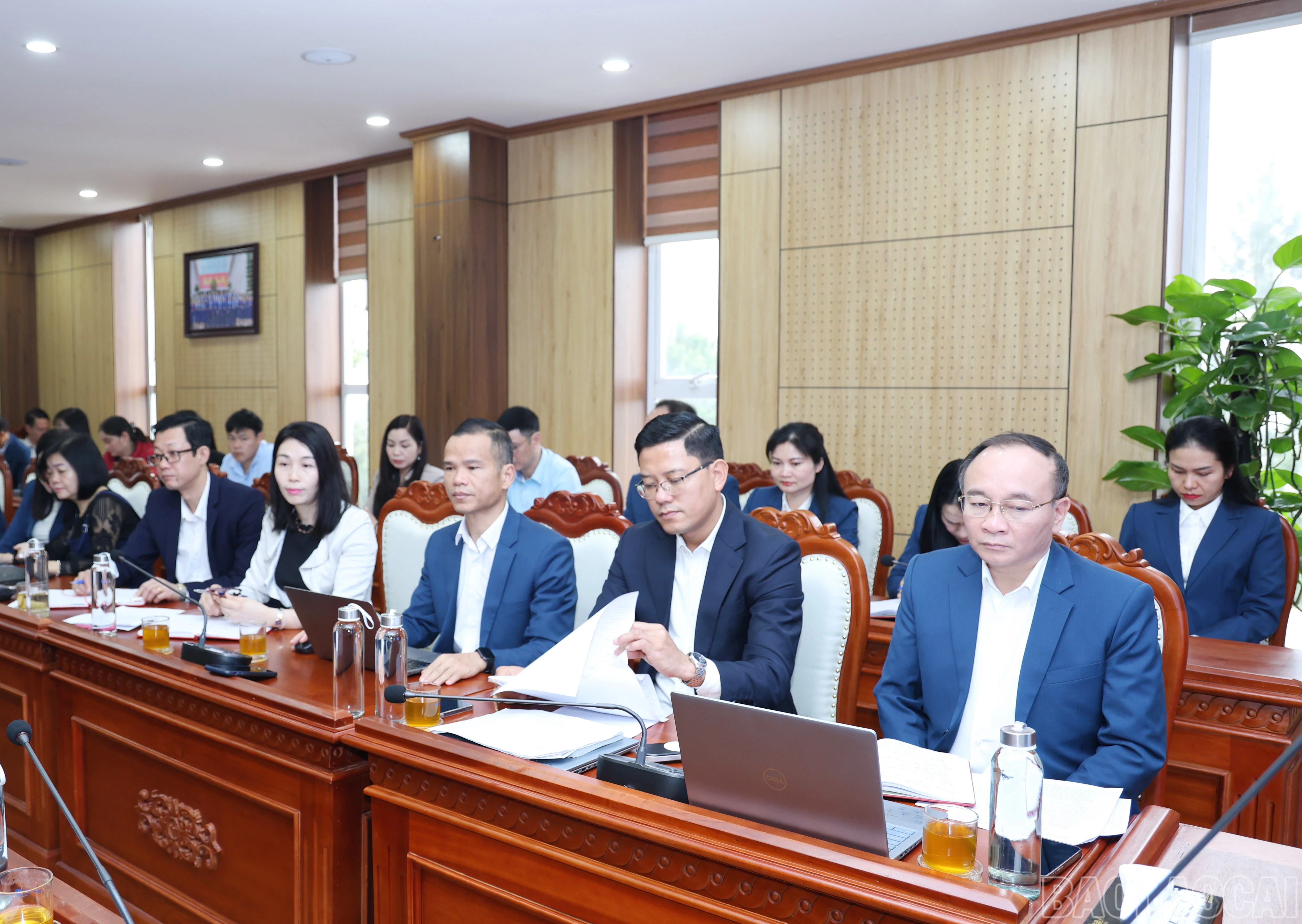 baolaocai-br_1167.jpg
