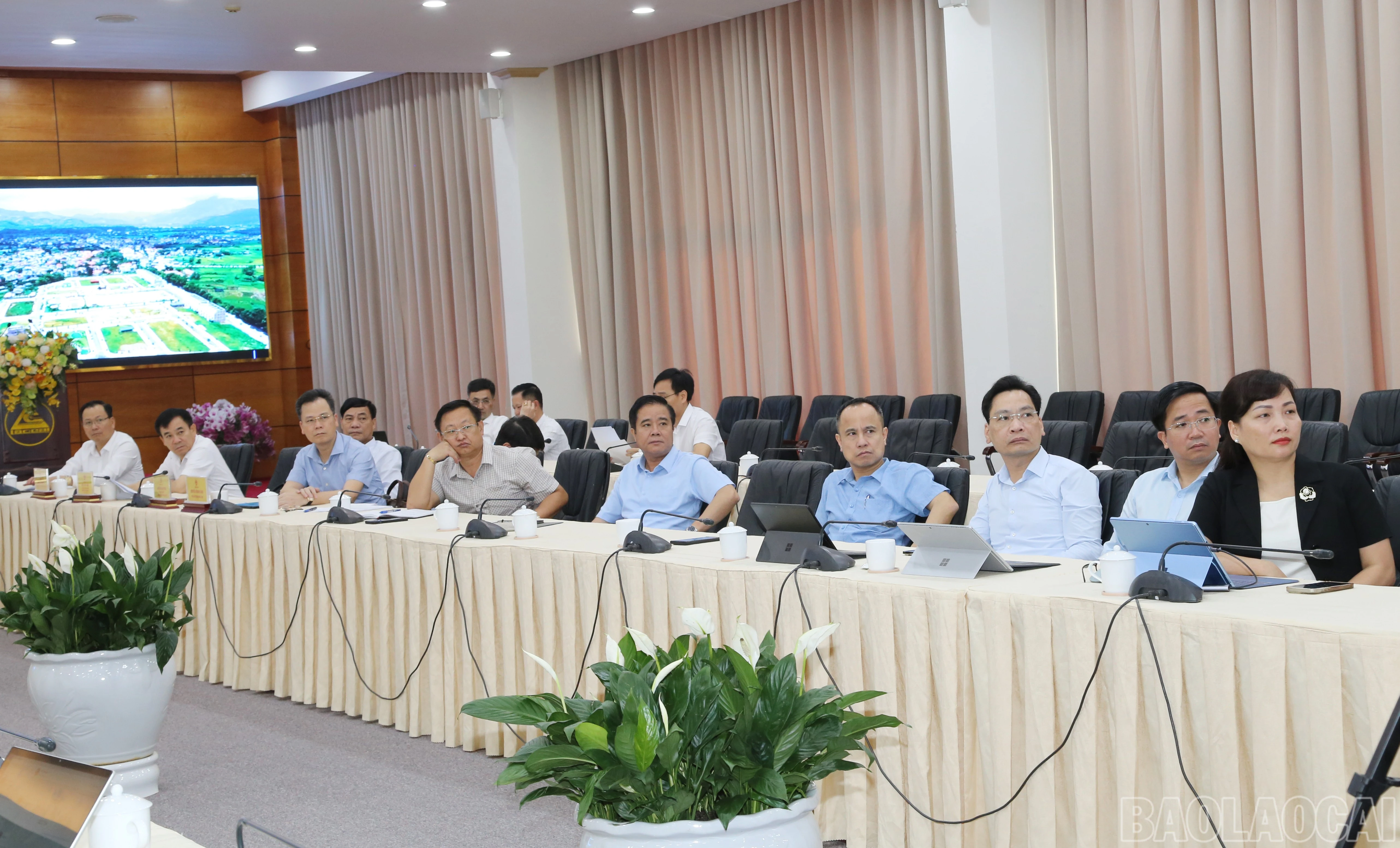 baolaocai-br_img-0918.jpg