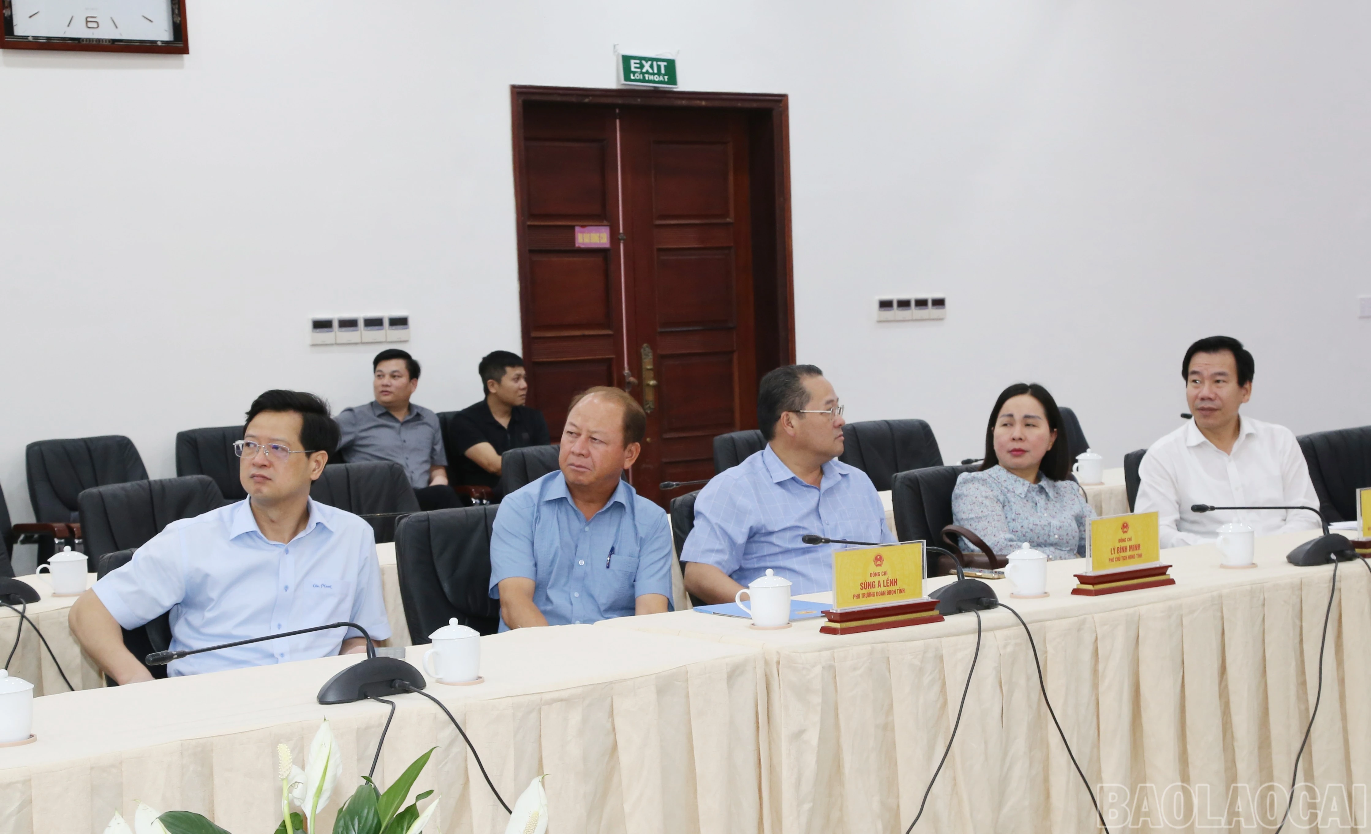 baolaocai-br_img-0915.jpg