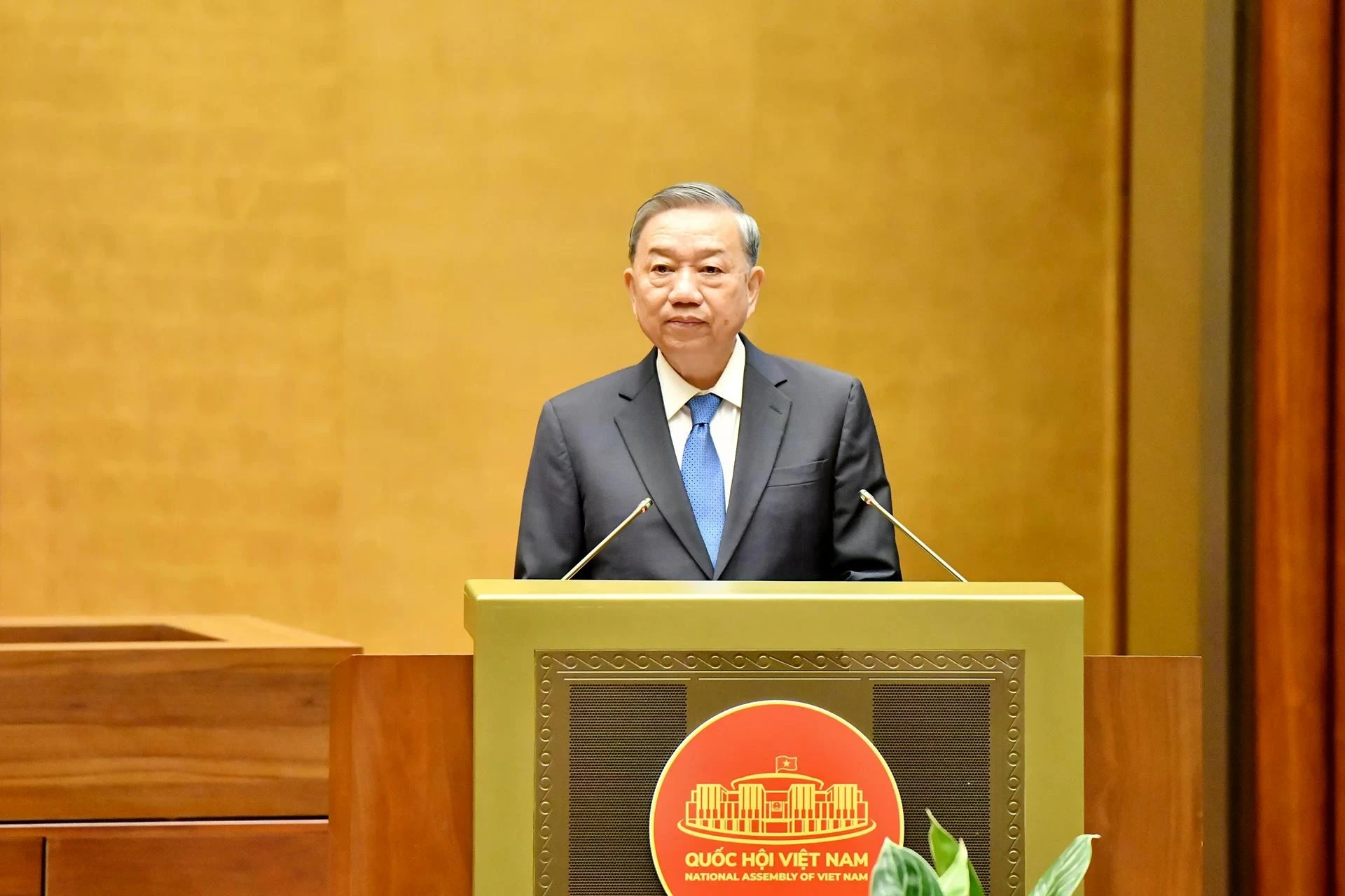 anh-4-dsc-8700-4474-3867jpg.jpg