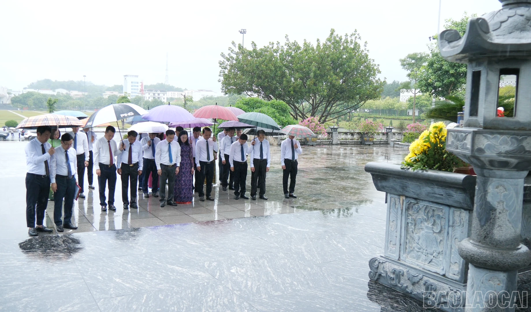 baolaocai-br_vieng1.png