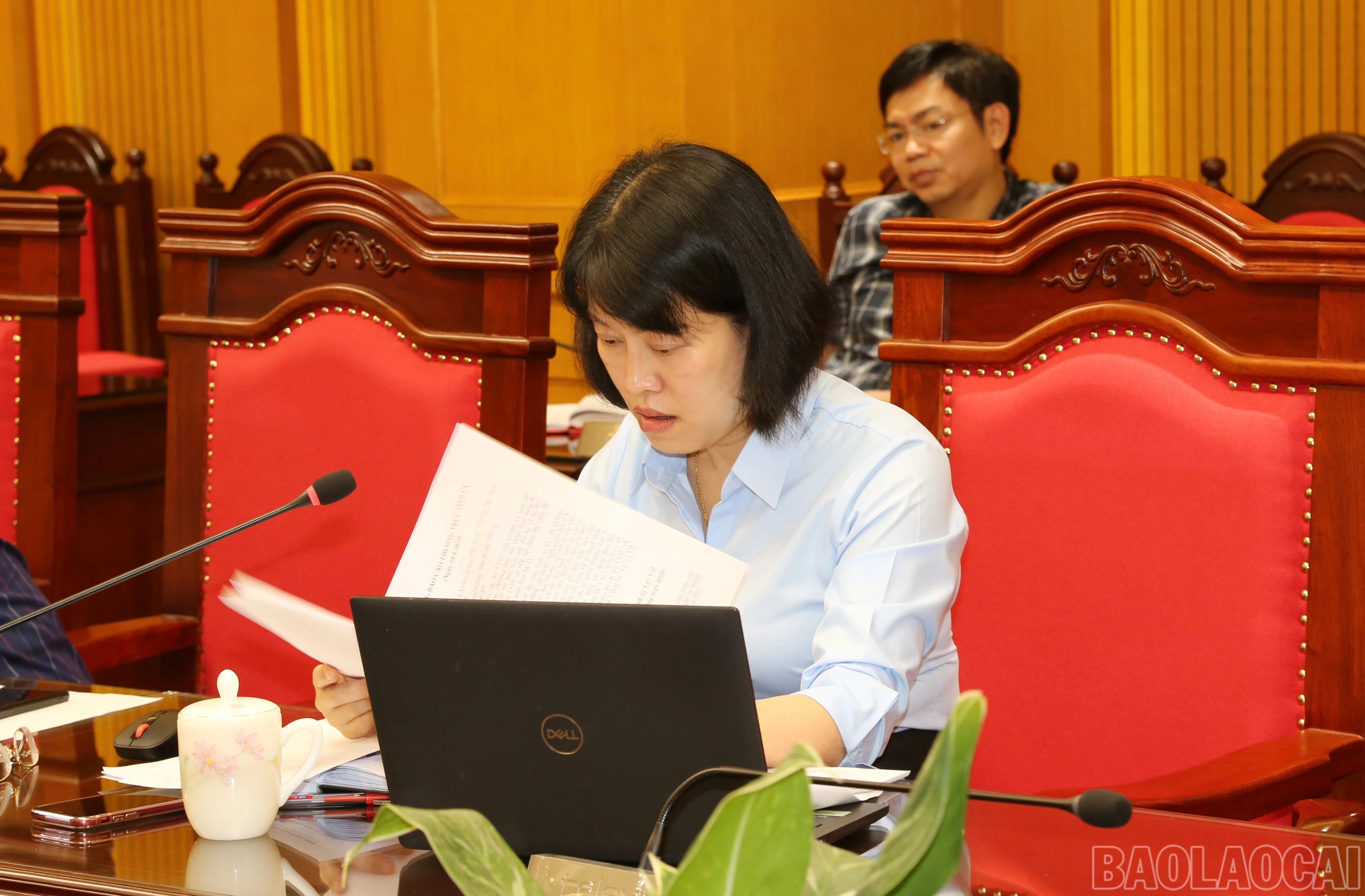 baolaocai-br_img-1033.jpg