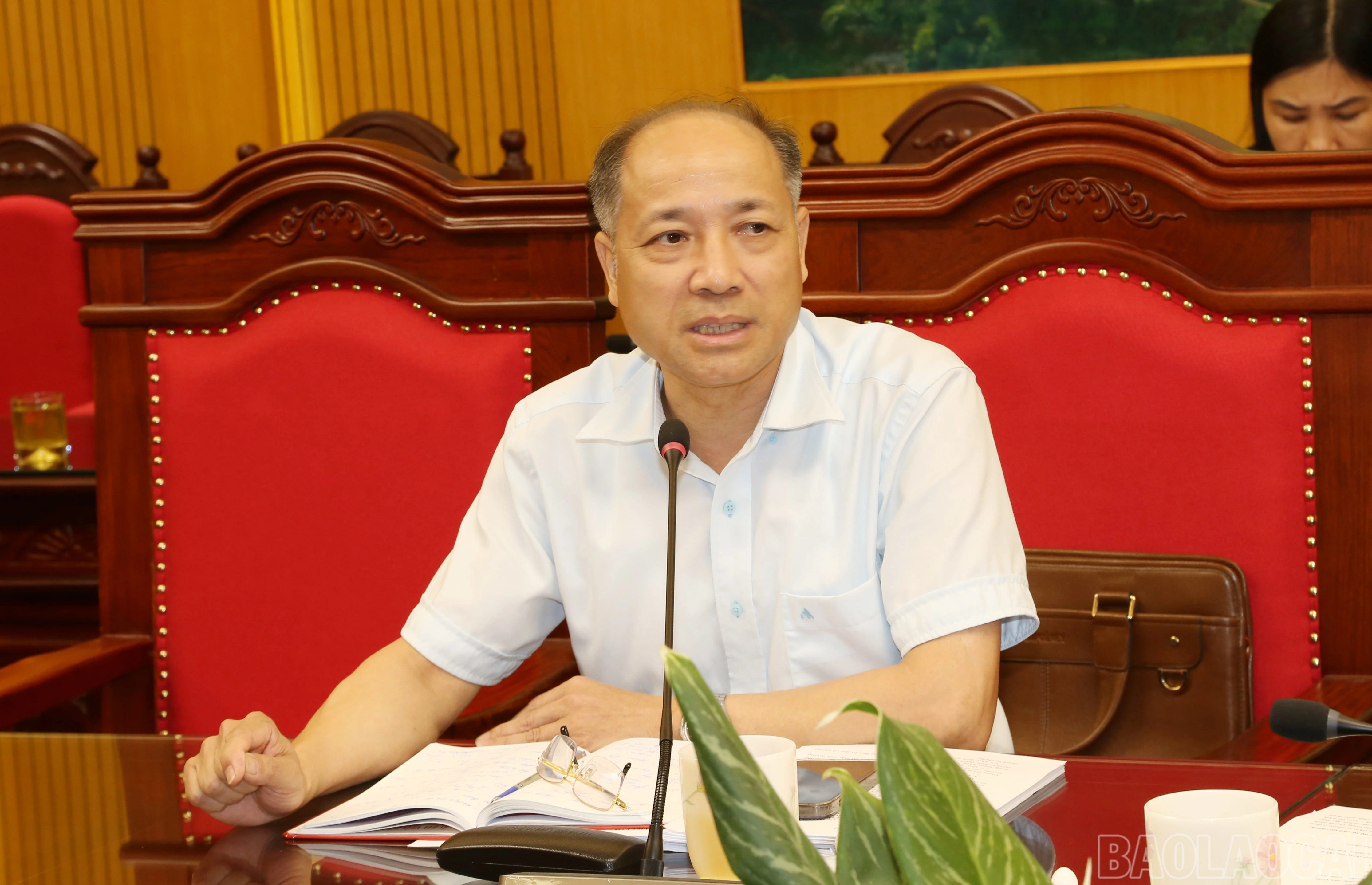 baolaocai-br_img-1046.jpg