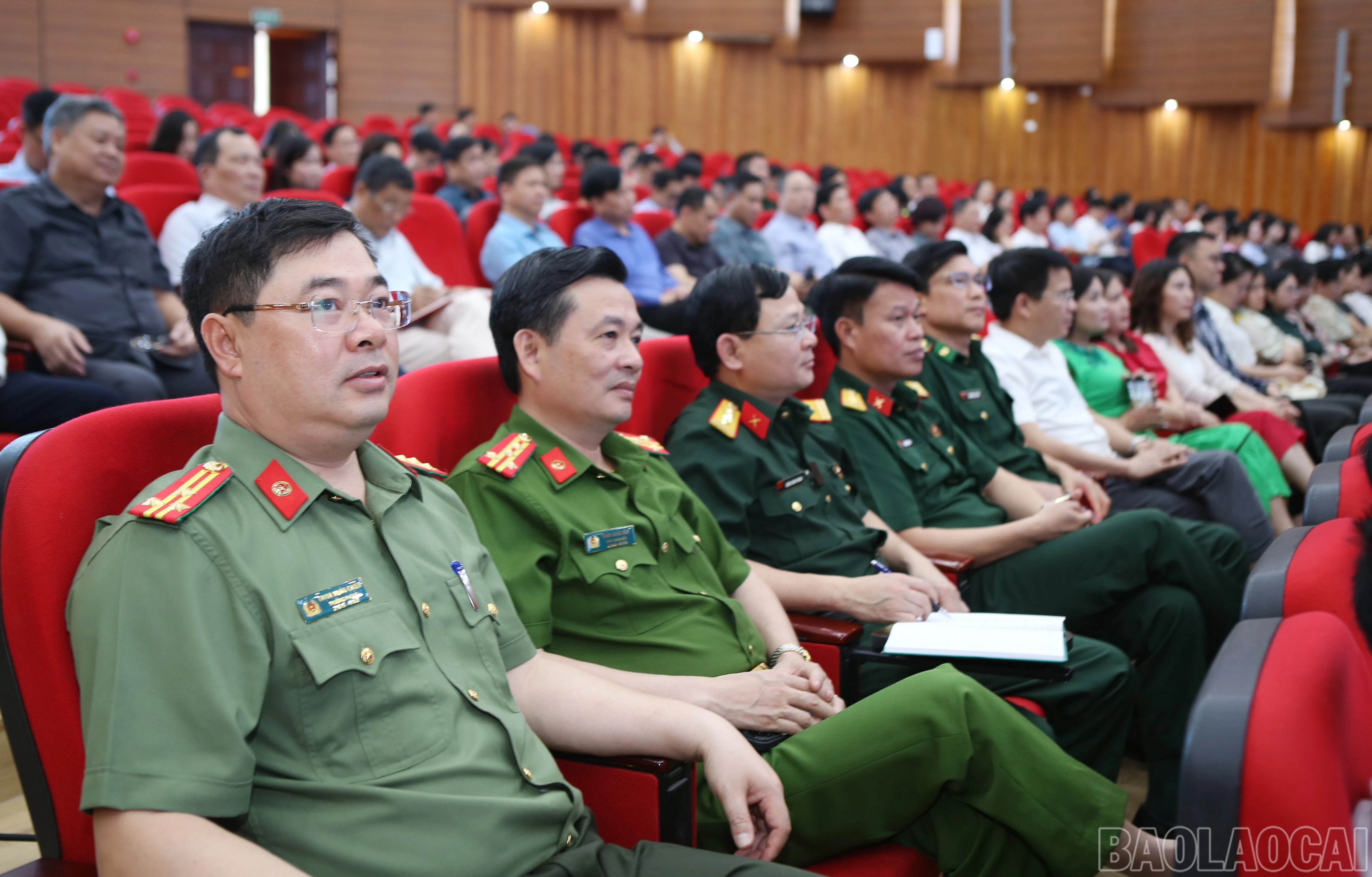 baolaocai-br_4.jpg