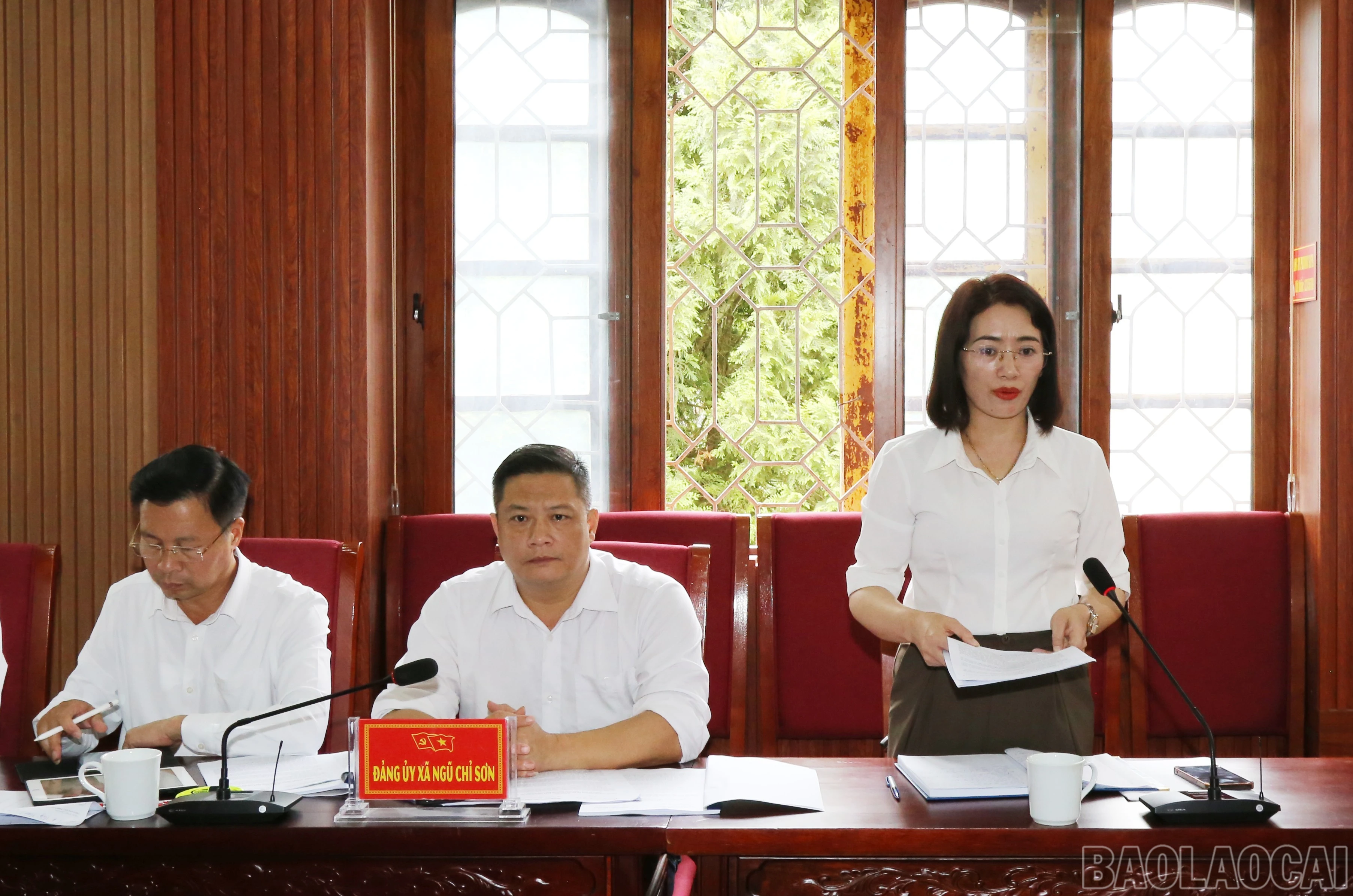 baolaocai-br_img-0695.jpg