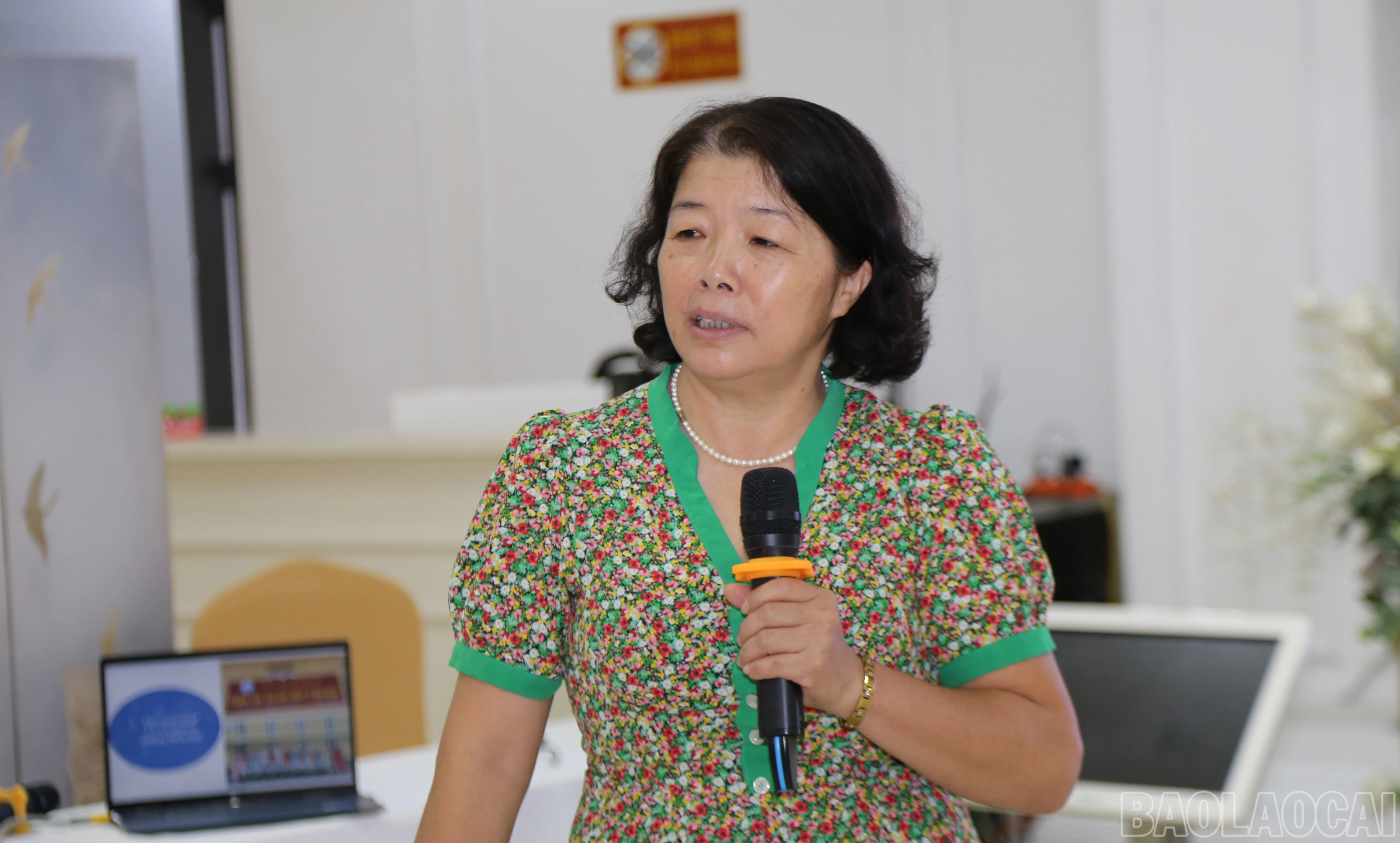 baolaocai-br_img-1280.jpg
