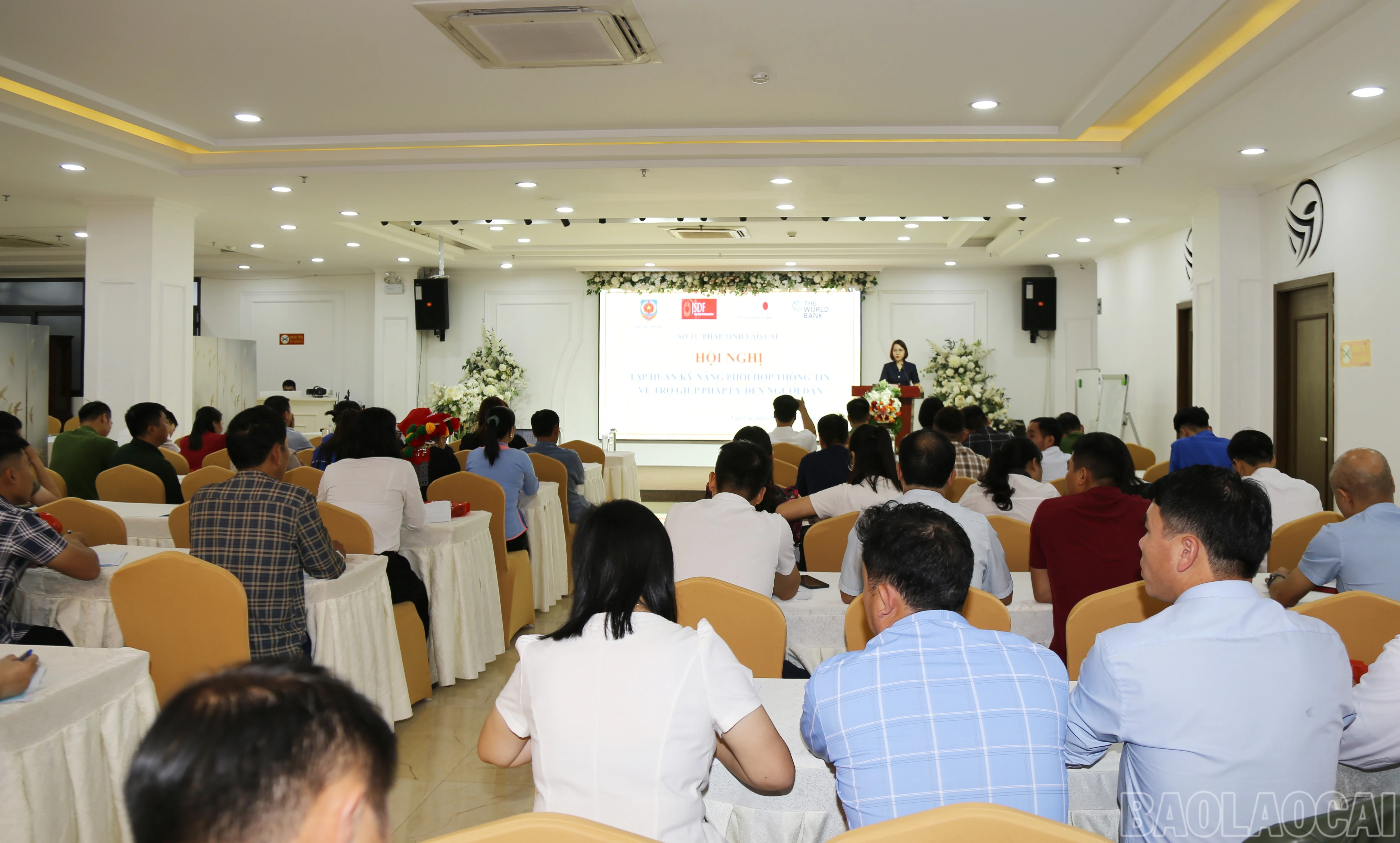 baolaocai-br_img-1250.jpg