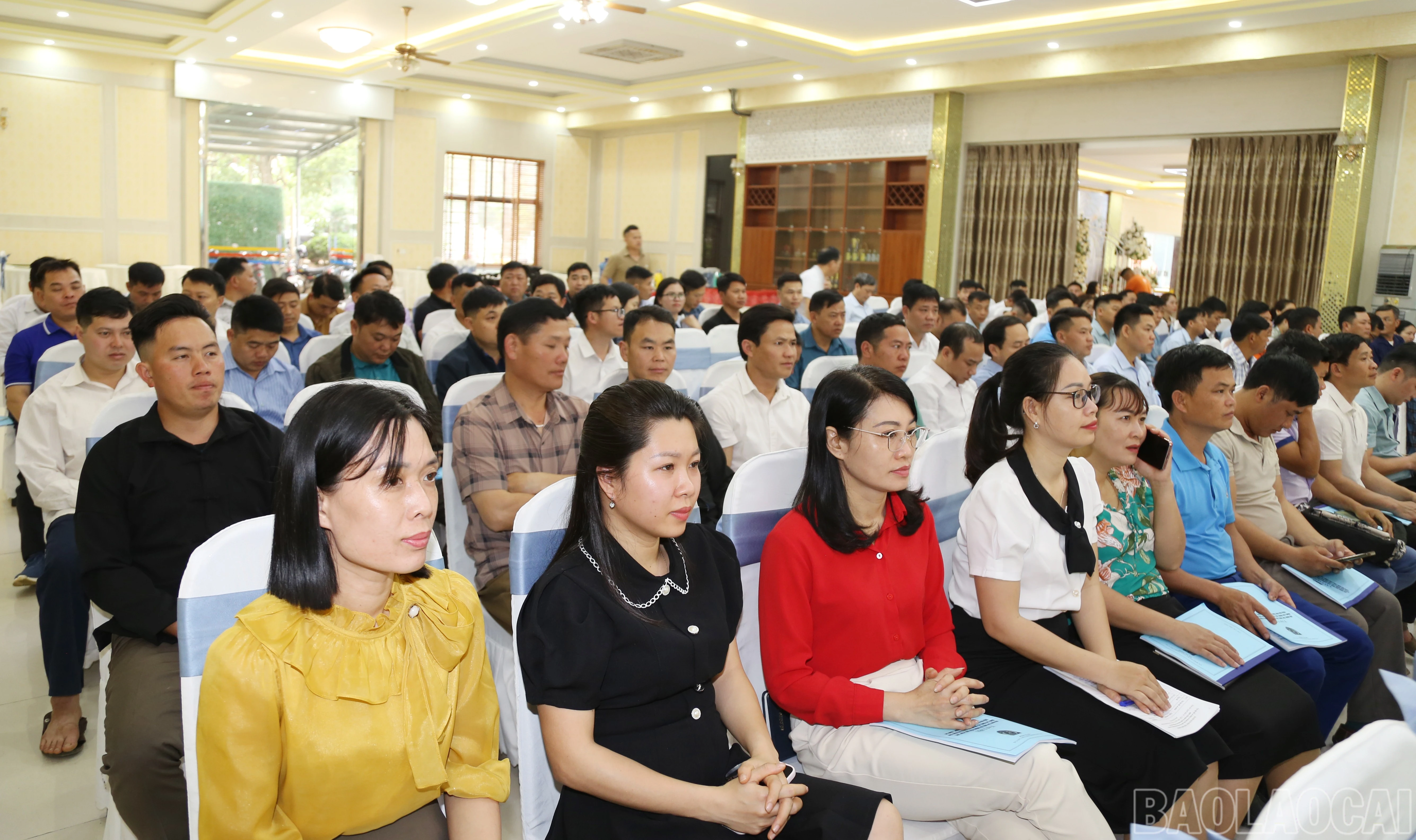 baolaocai-br_img-0200.jpg