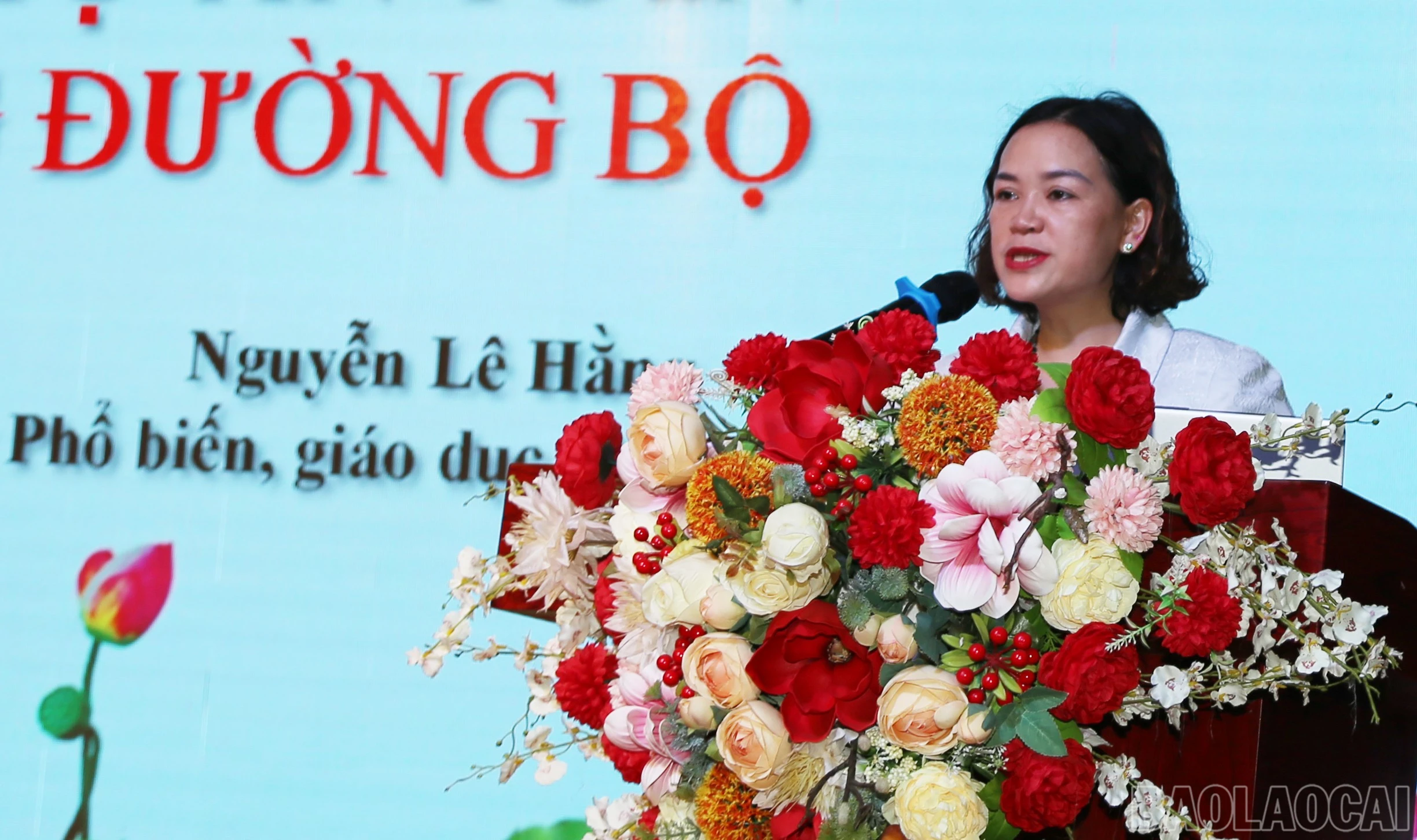 baolaocai-br_img-0215.jpg