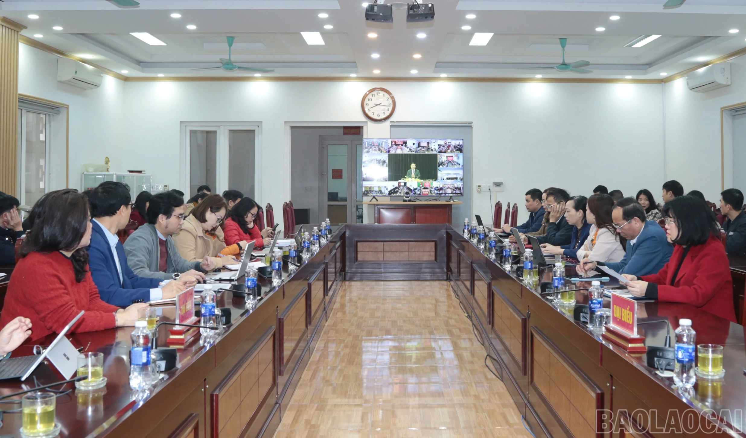 baolaocai-br_img-6553.jpg