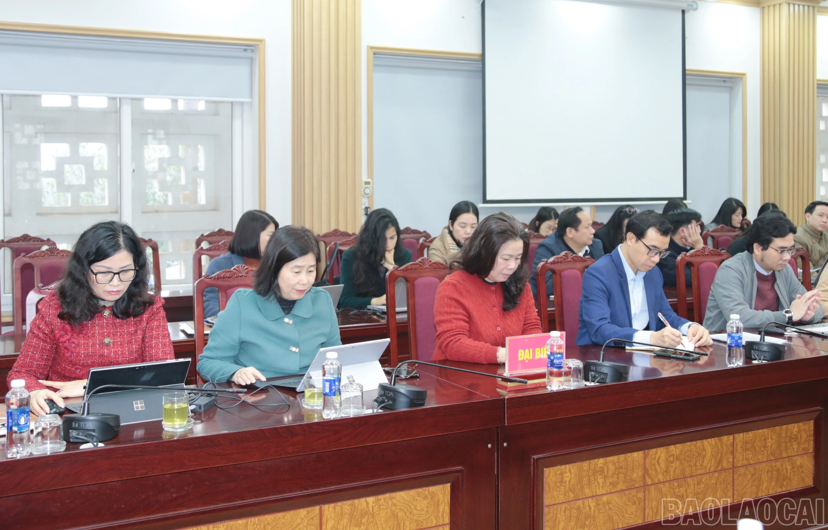 baolaocai-br_img-6557.jpg