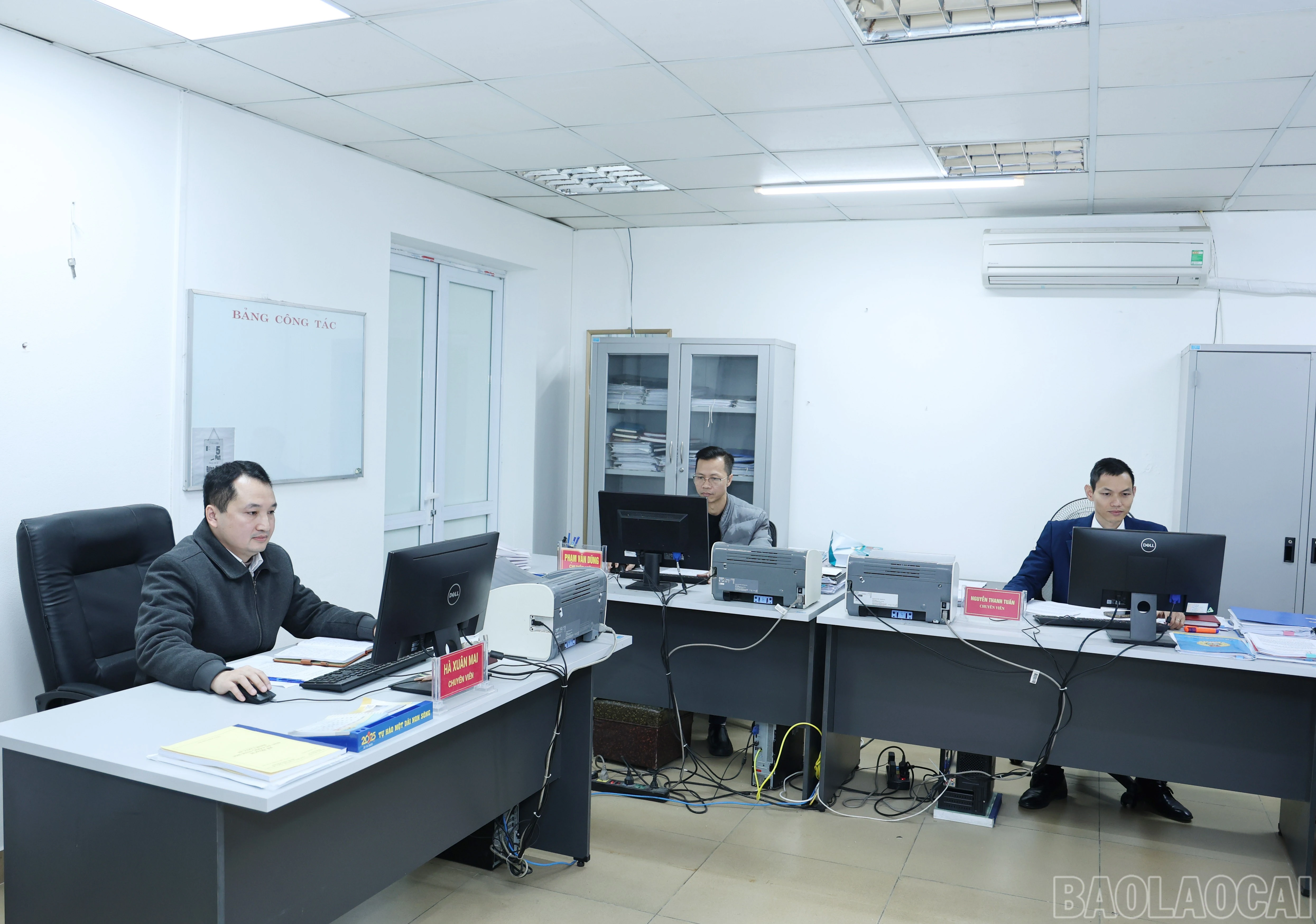 baolaocai-br_0559.jpg