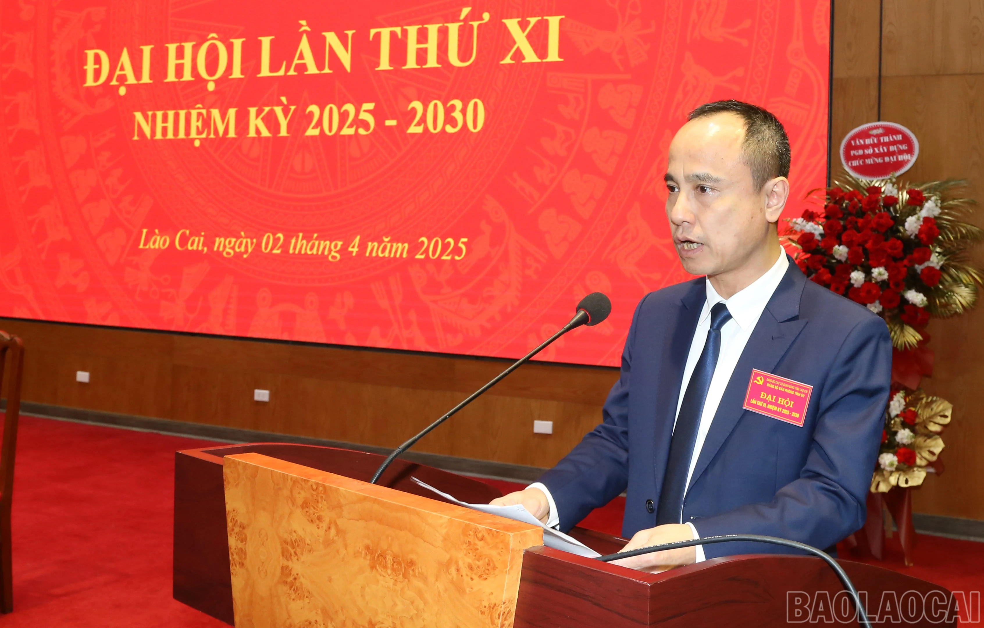 baolaocai-br_img-0413.jpg