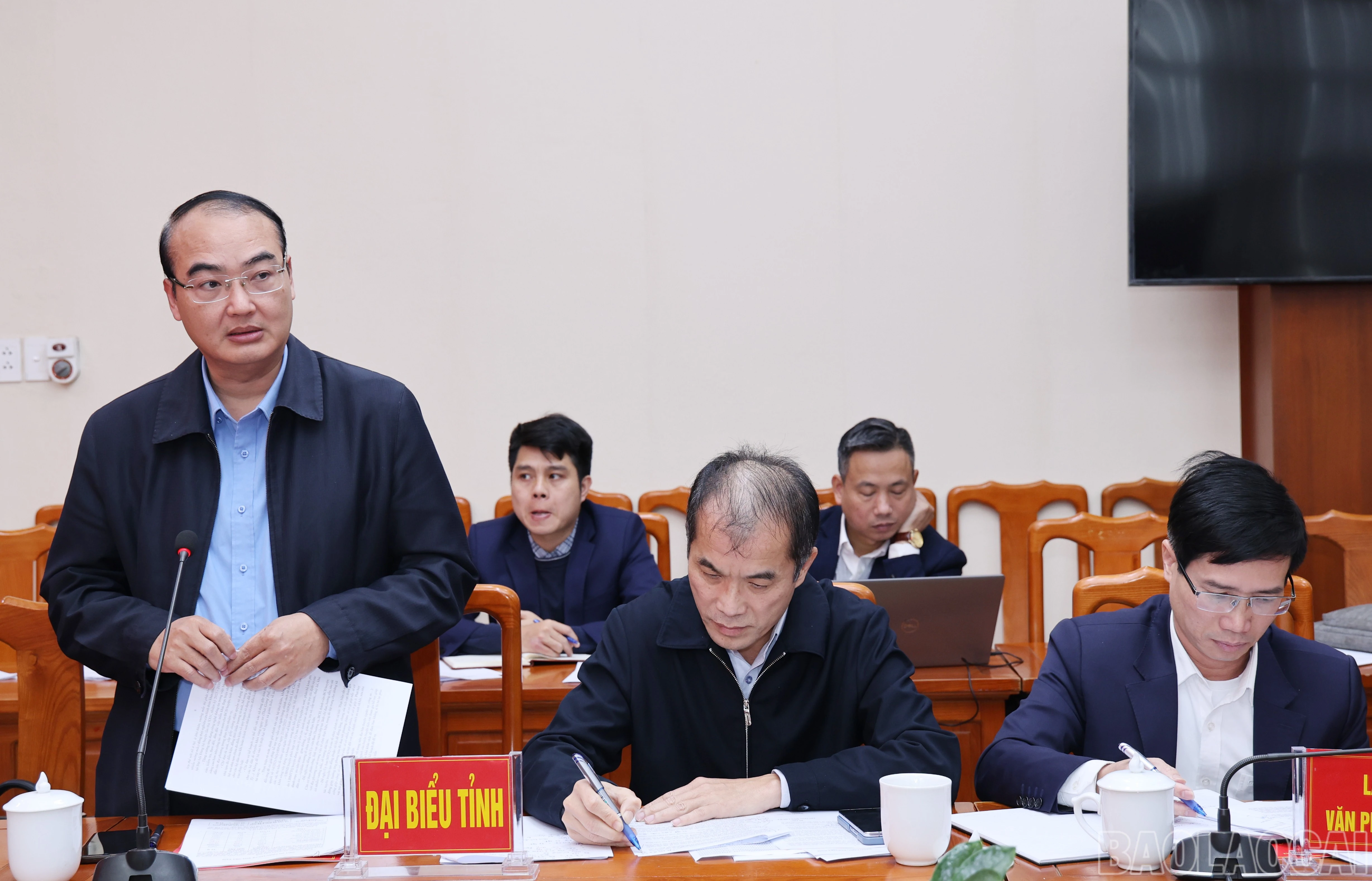 baolaocai-br_060a5426.jpg